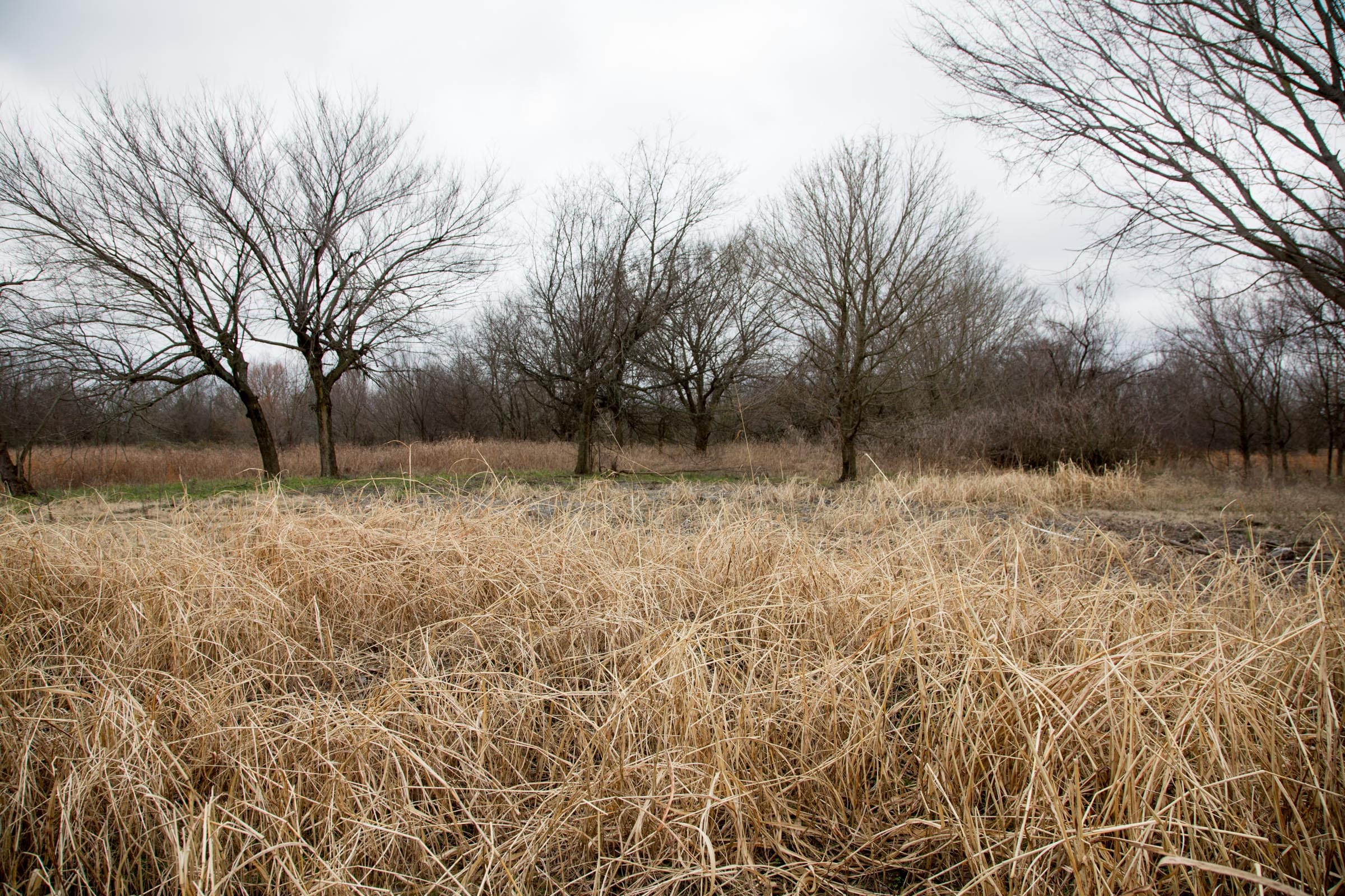 Canadian Plains Tract 2 photo 10