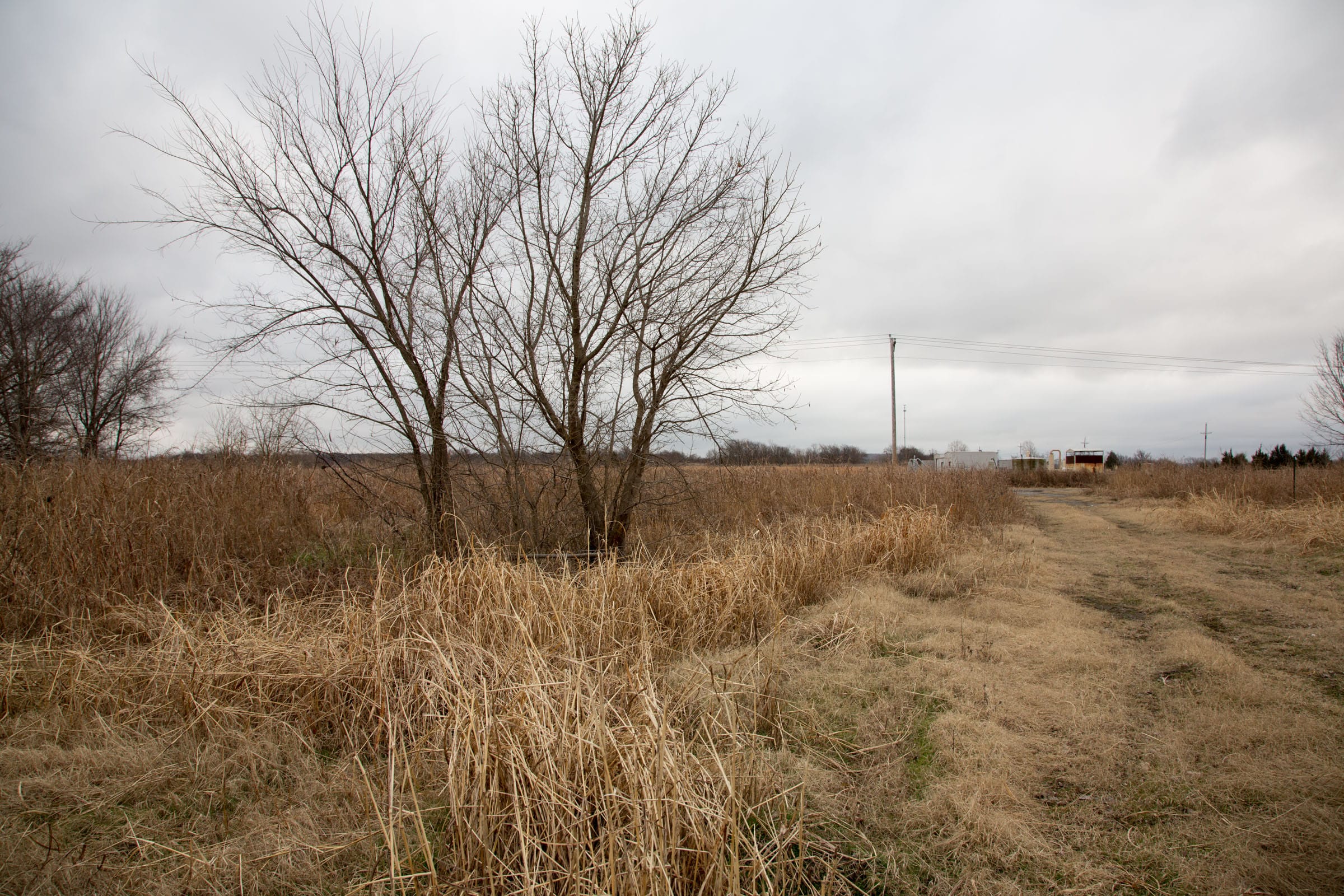 Canadian Plains Tract 2 photo 13