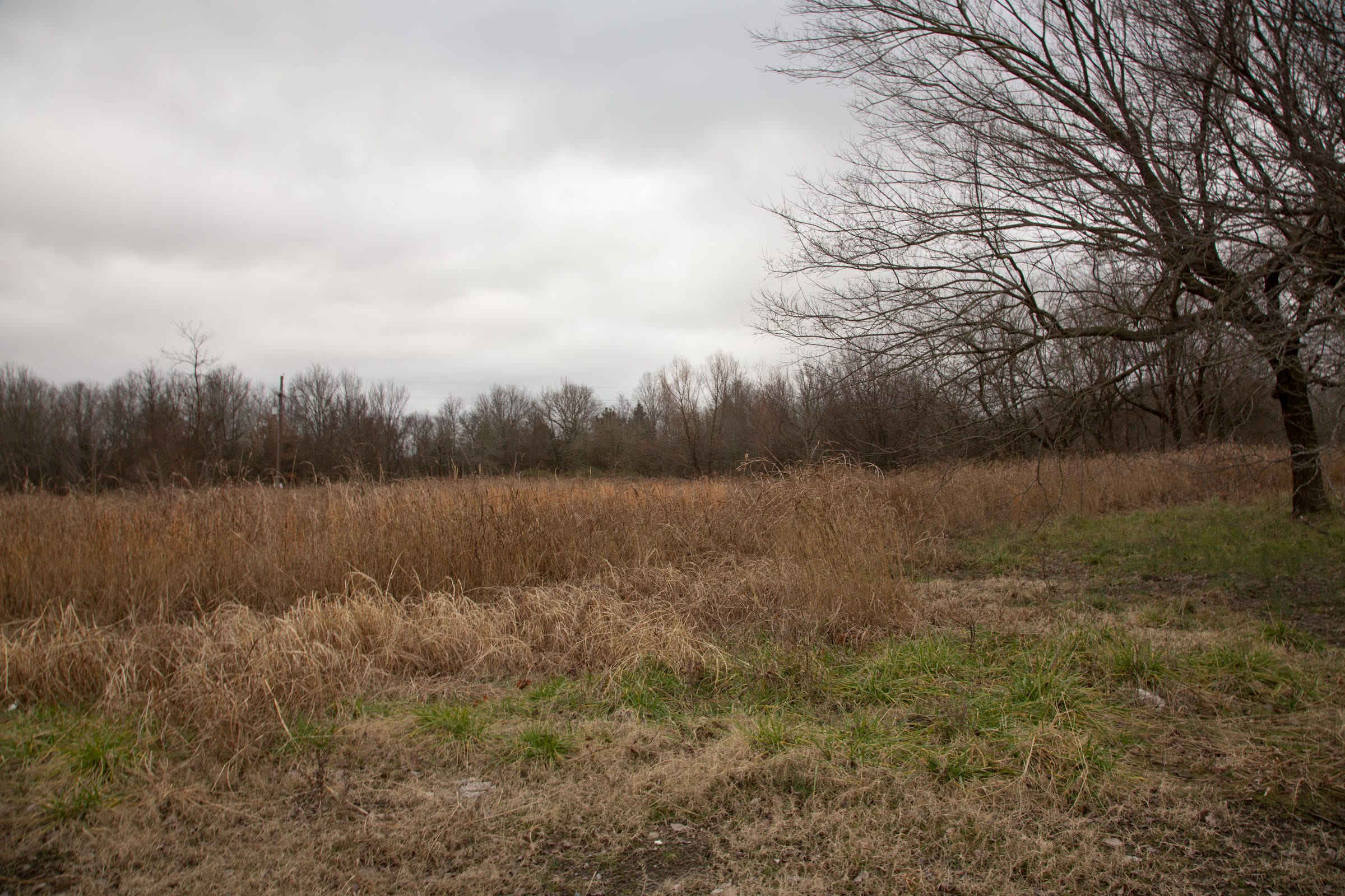 Canadian Plains Tract 2 photo 14