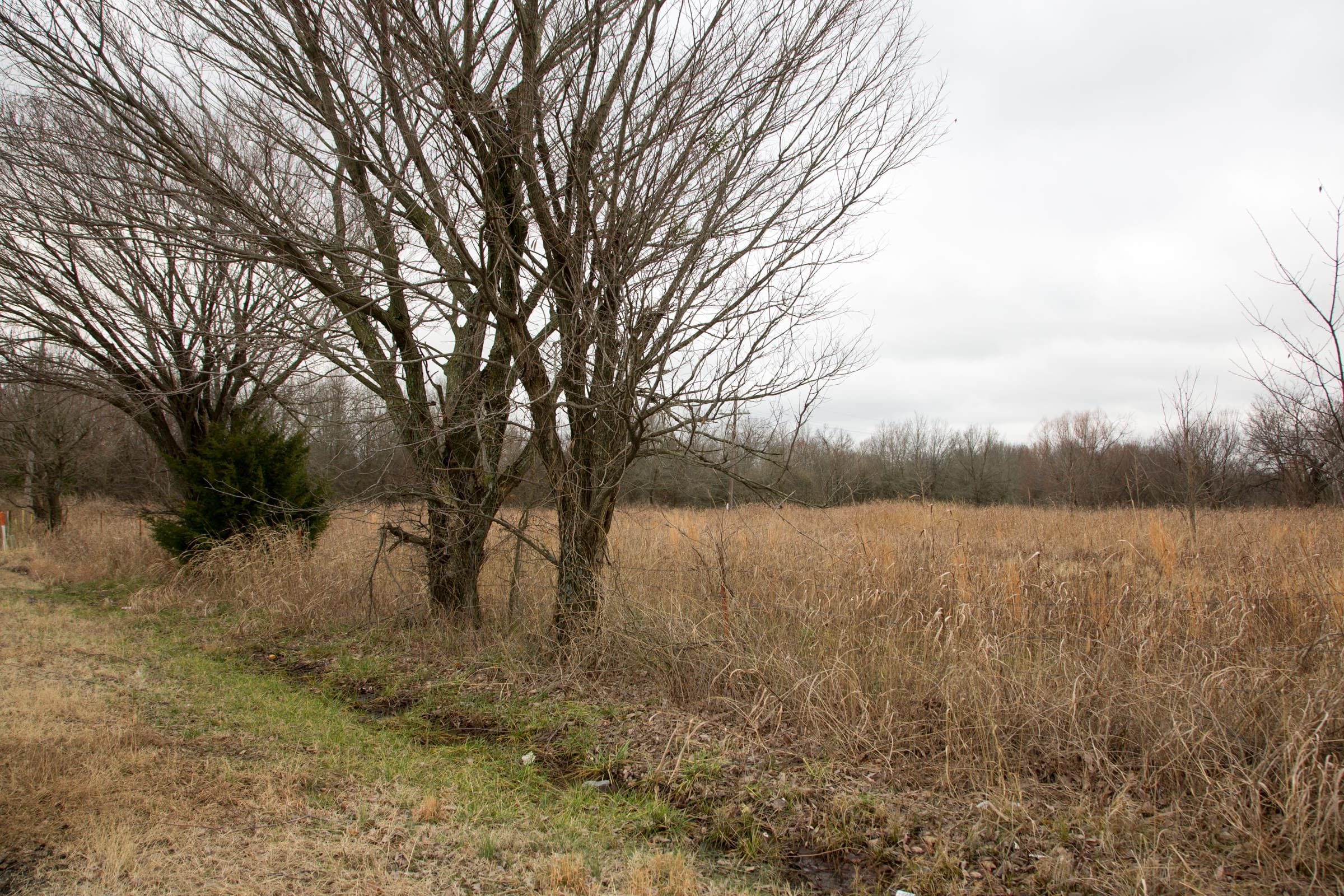 Canadian Plains Tract 2 photo 15