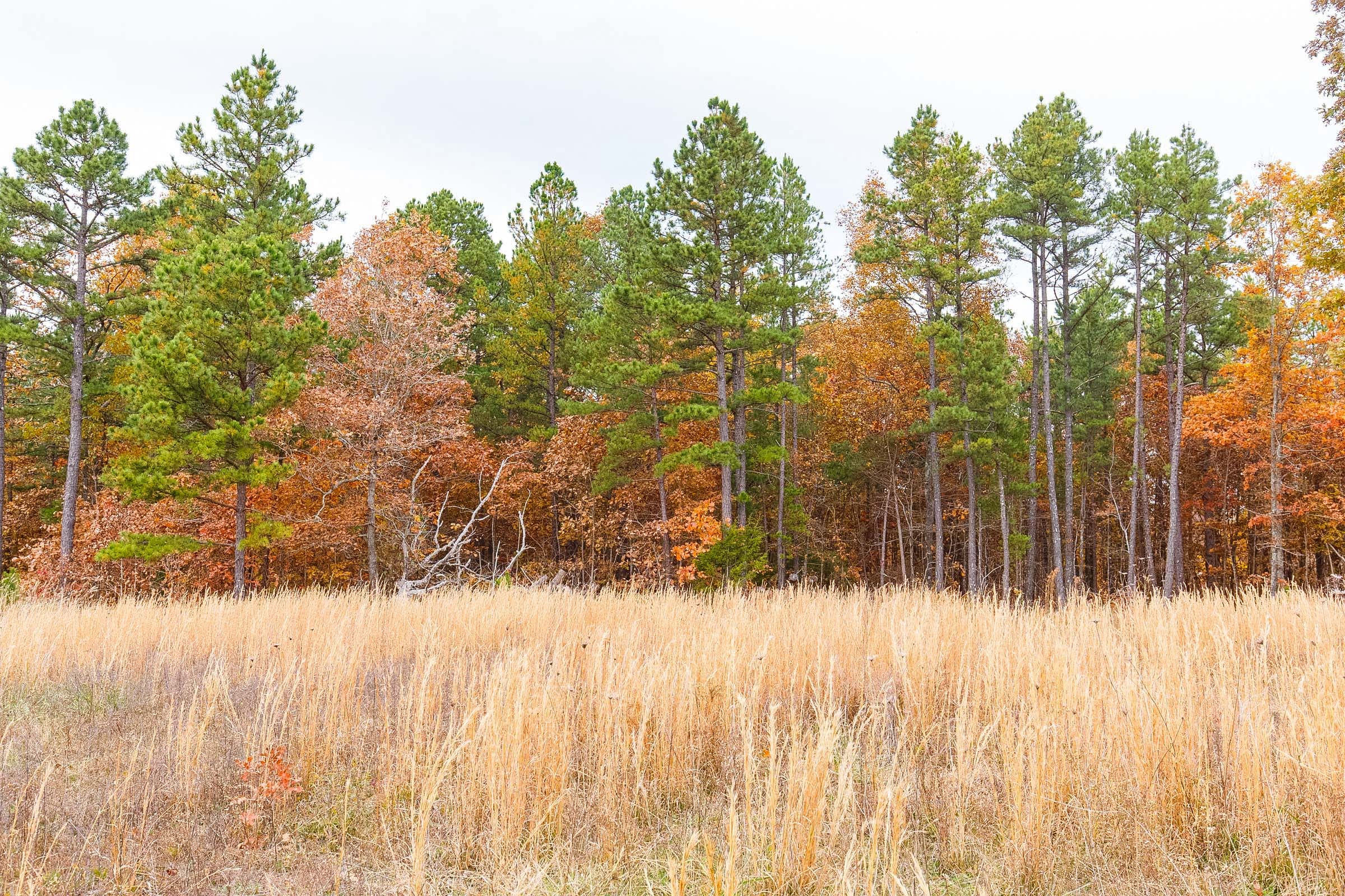 Hawkcrest Tract 7 photo 2