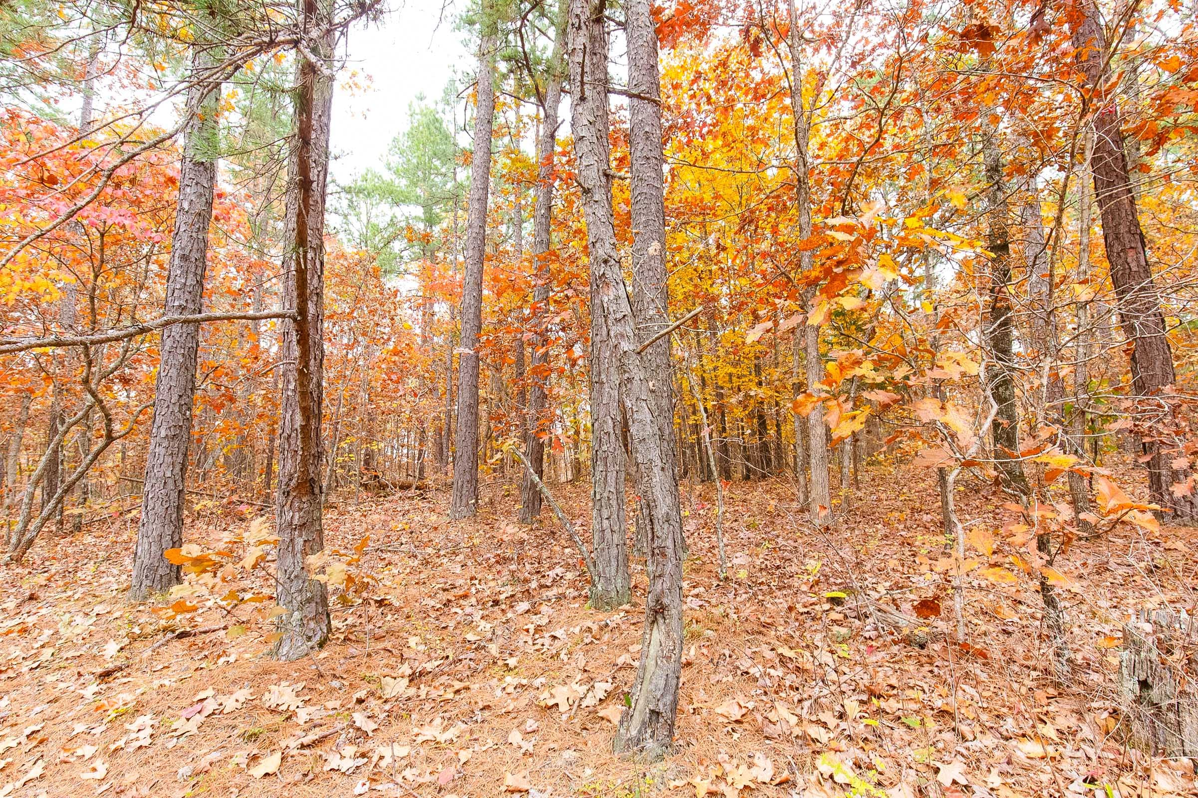 Hawkcrest Tract 7 photo 4