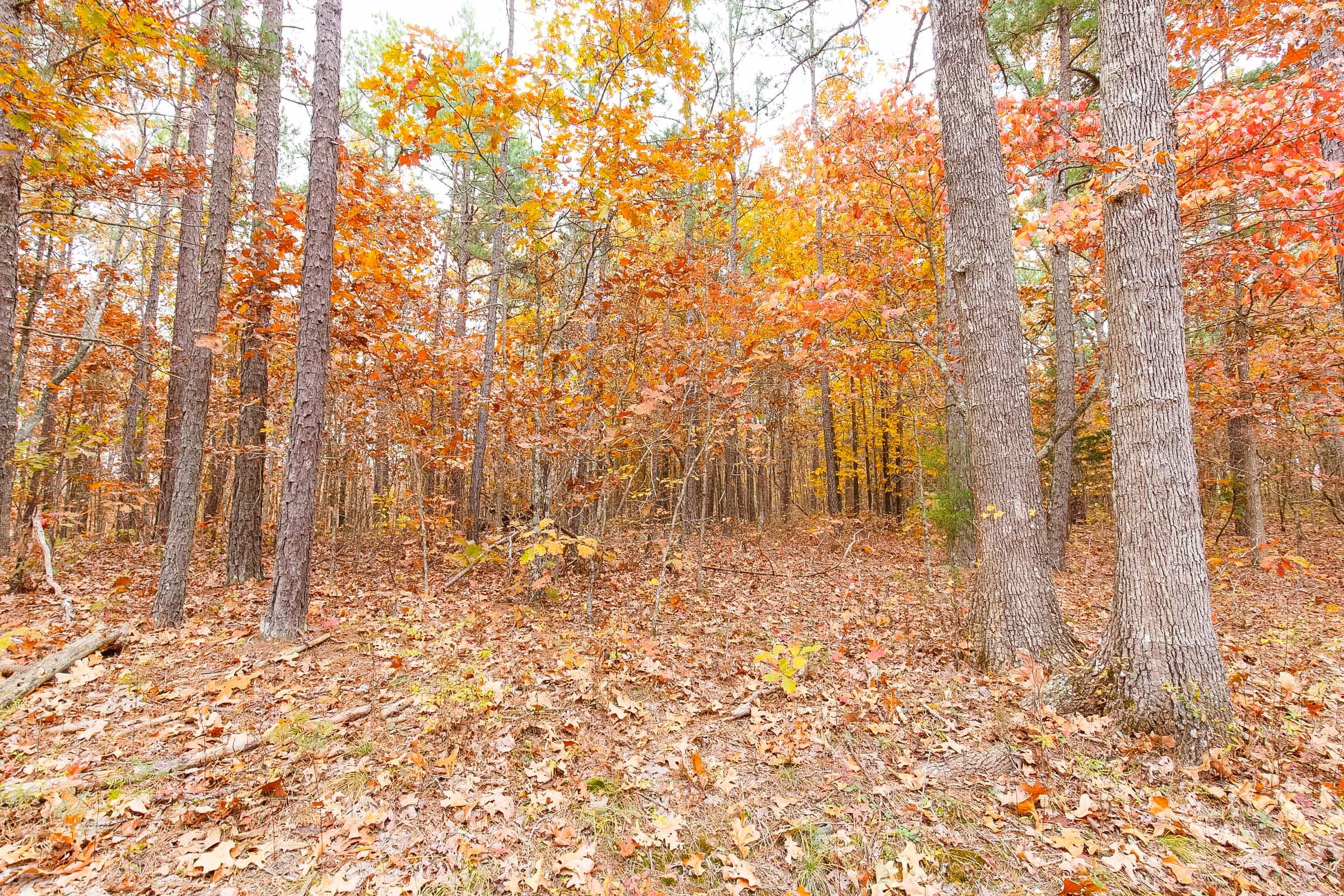 Hawkcrest Tract 7 photo 5