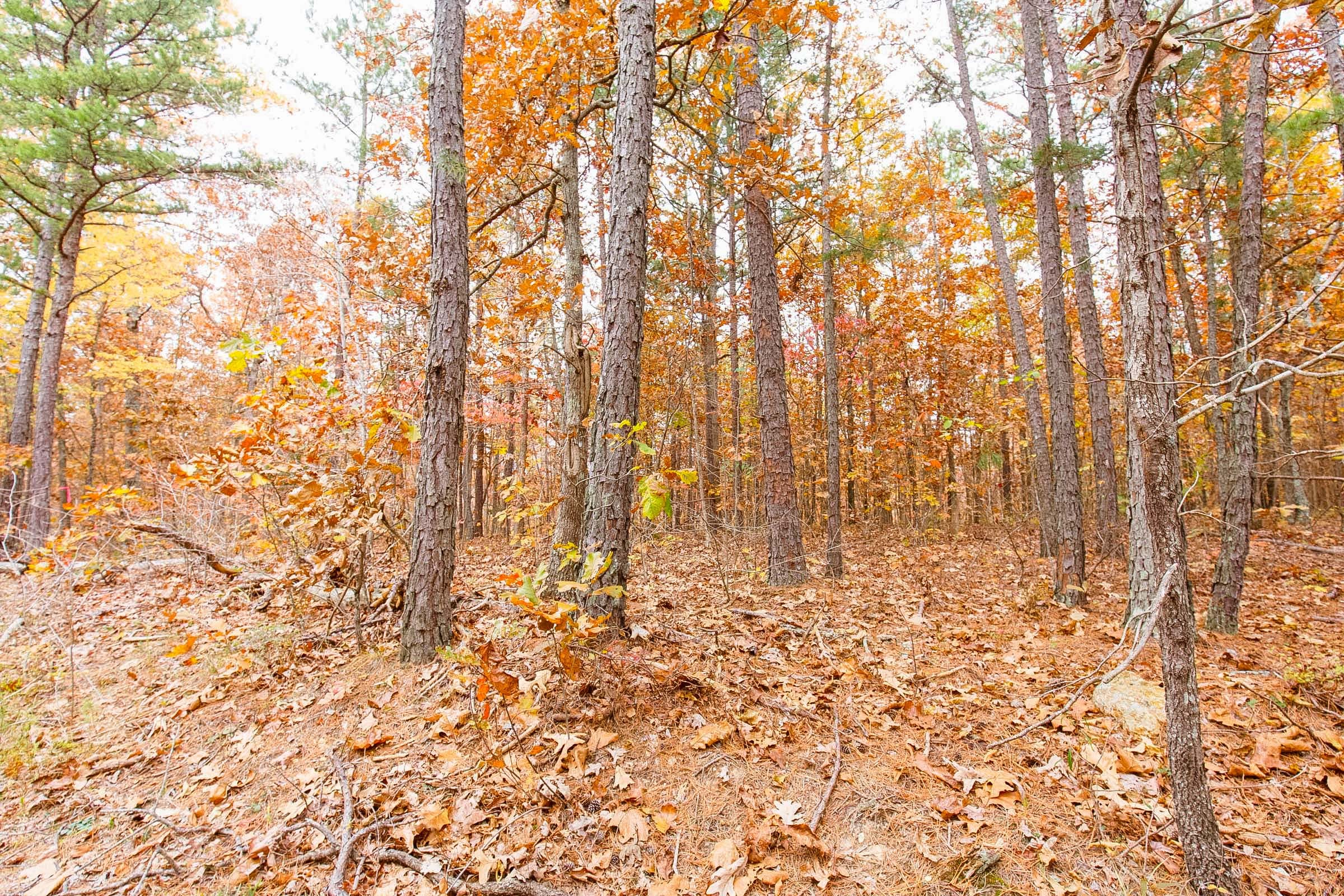 Hawkcrest Tract 7 photo 7