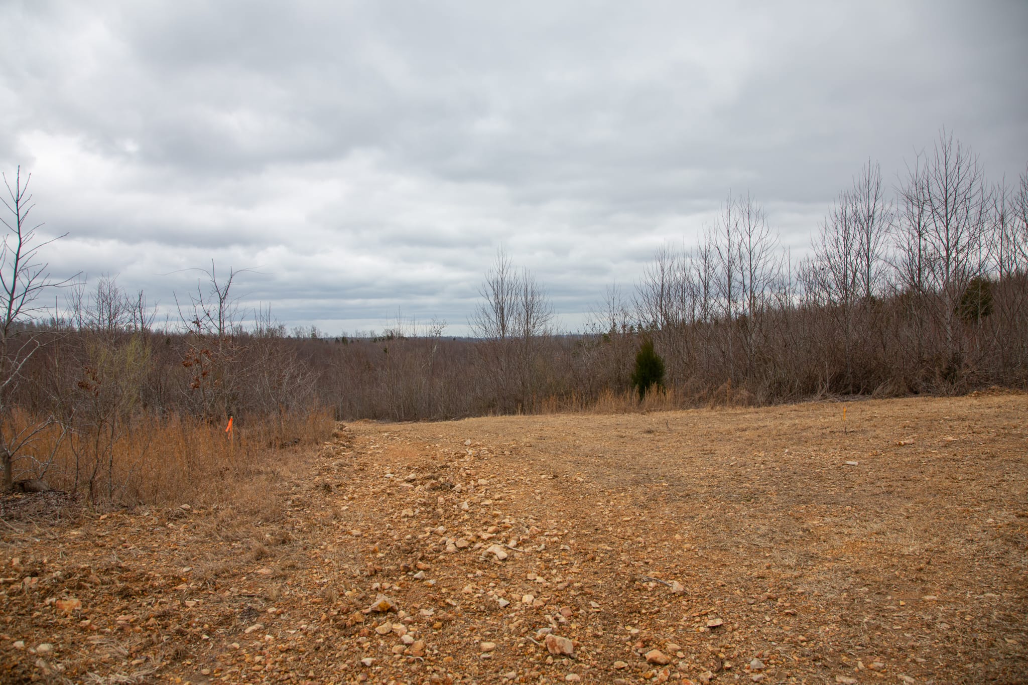 Southwind Ranch Tract 18 photo 3