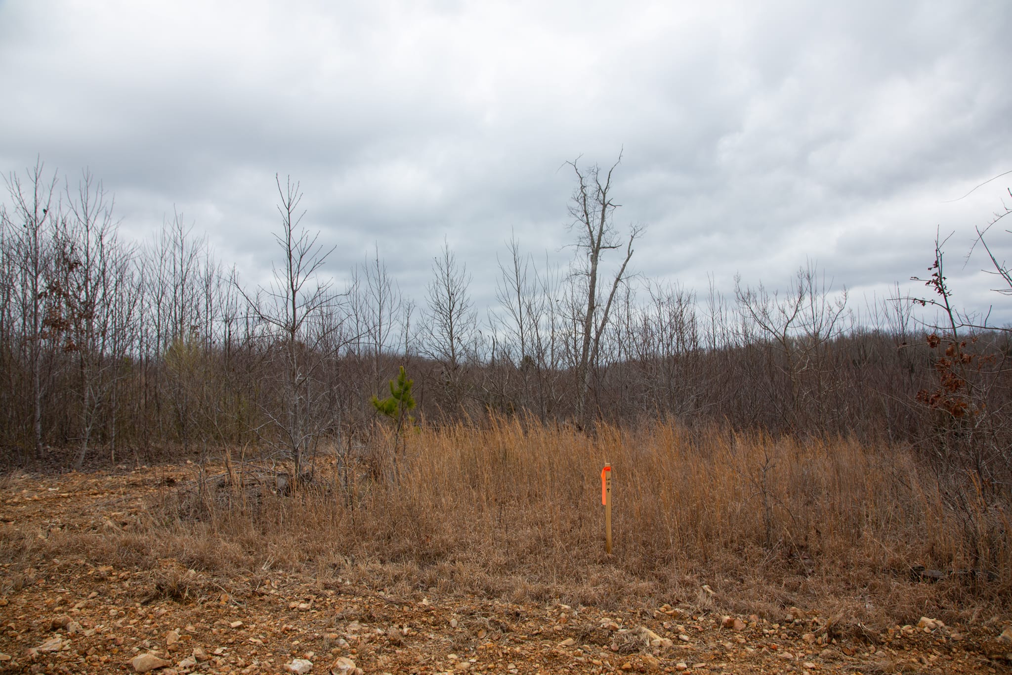 Southwind Ranch Tract 18 photo 2