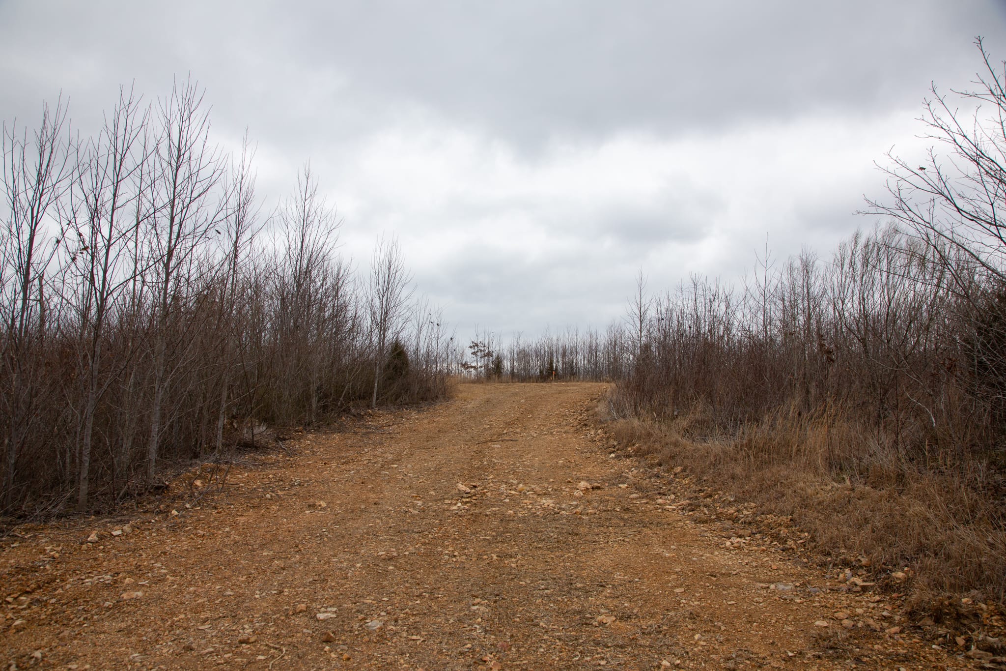 Southwind Ranch Tract 18 photo 1