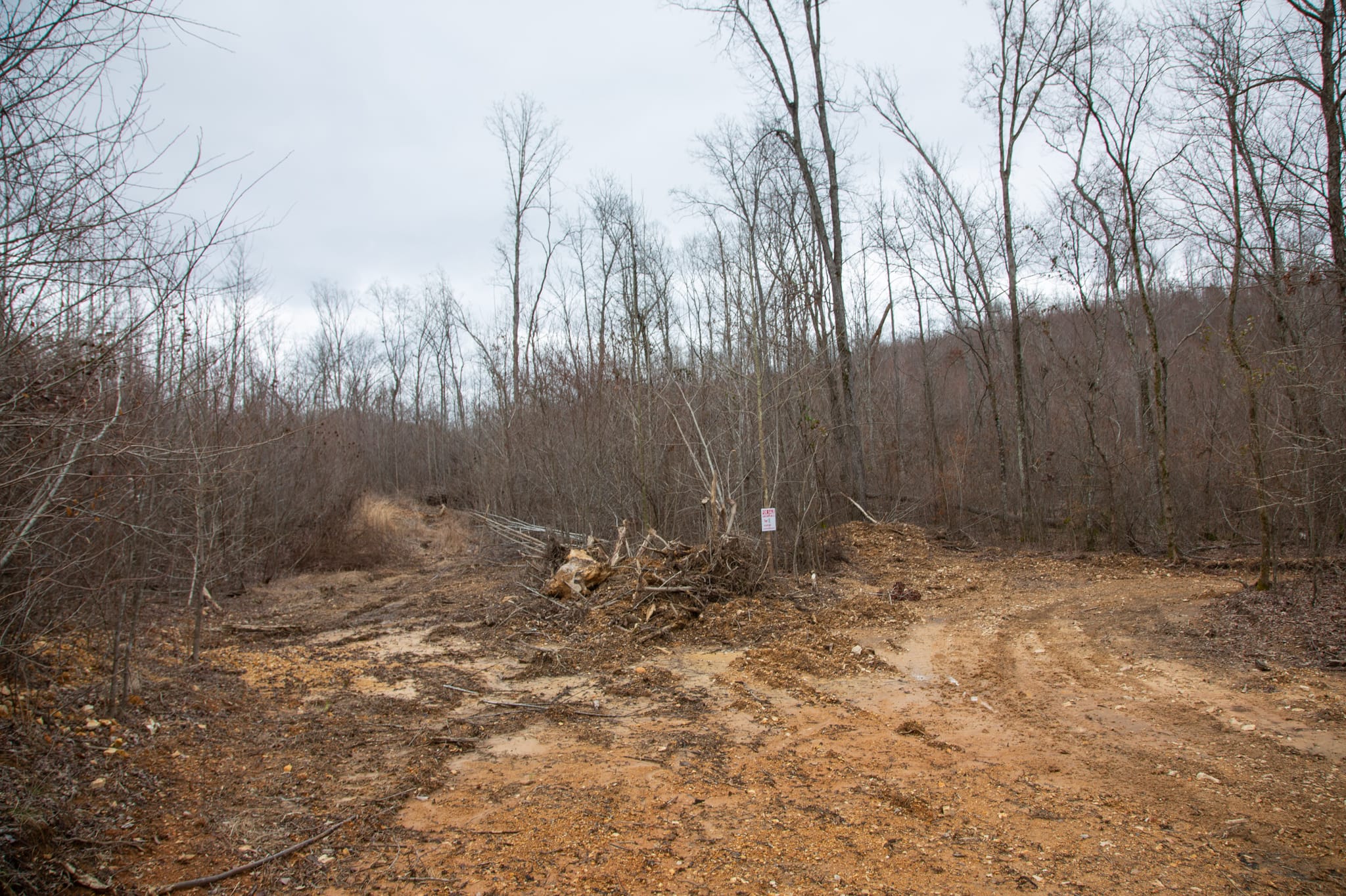 Southwind Ranch Tract 18 photo 13