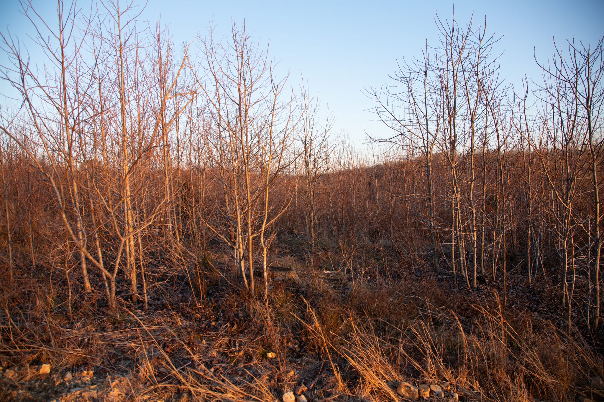 Southwind Ranch Tract 18 photo 17
