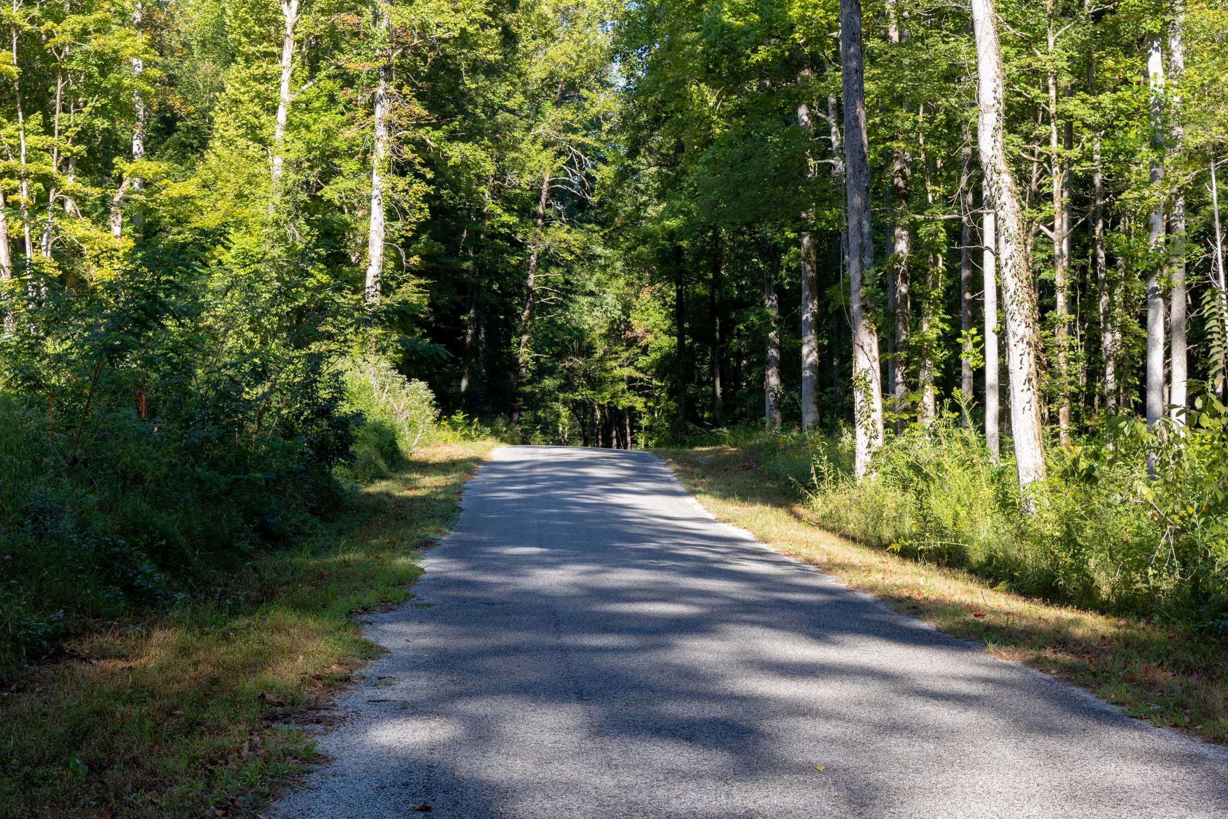 Big White Oak Tract 8 photo 1