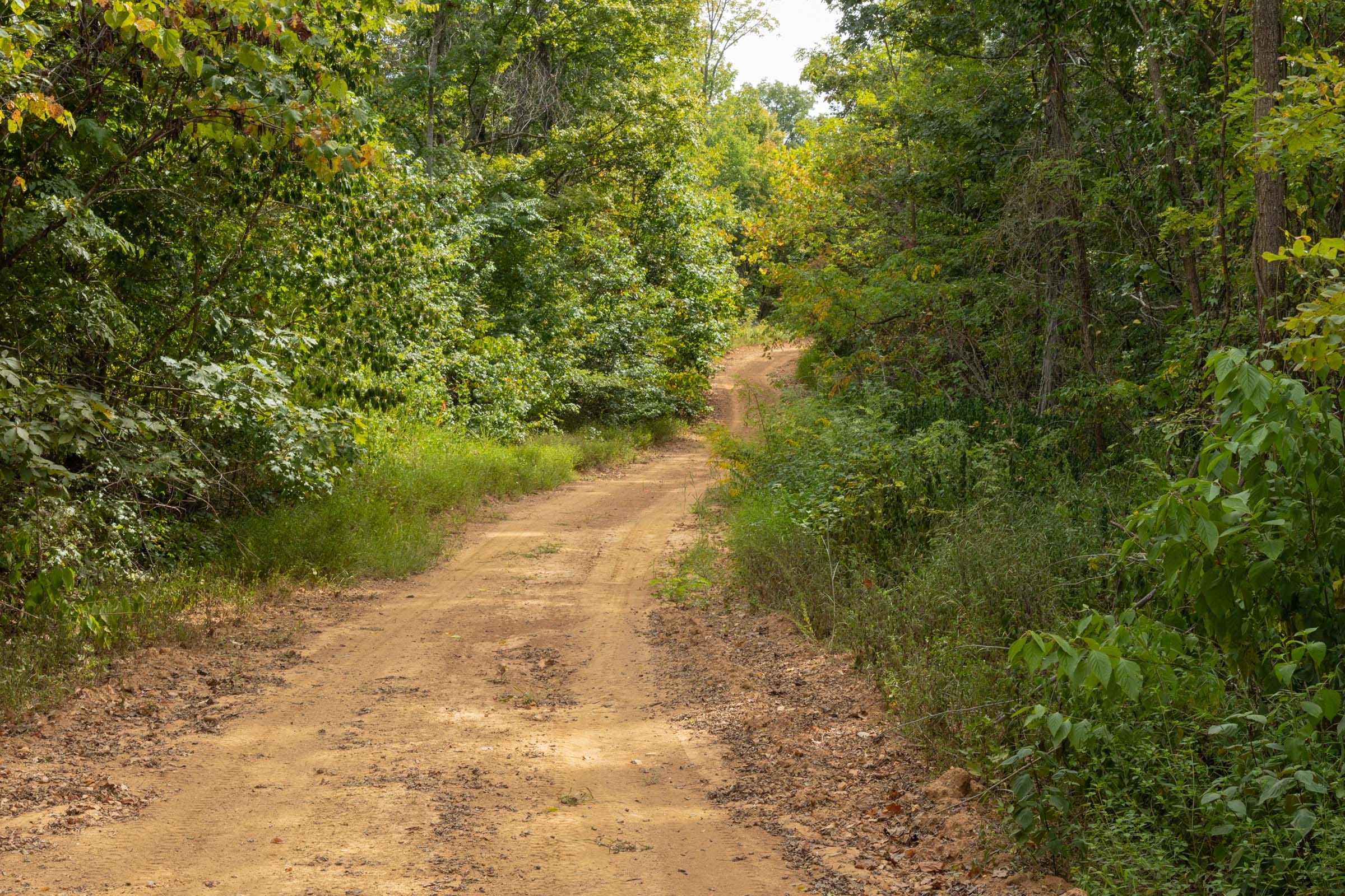 Big White Oak Tract 61 photo 5