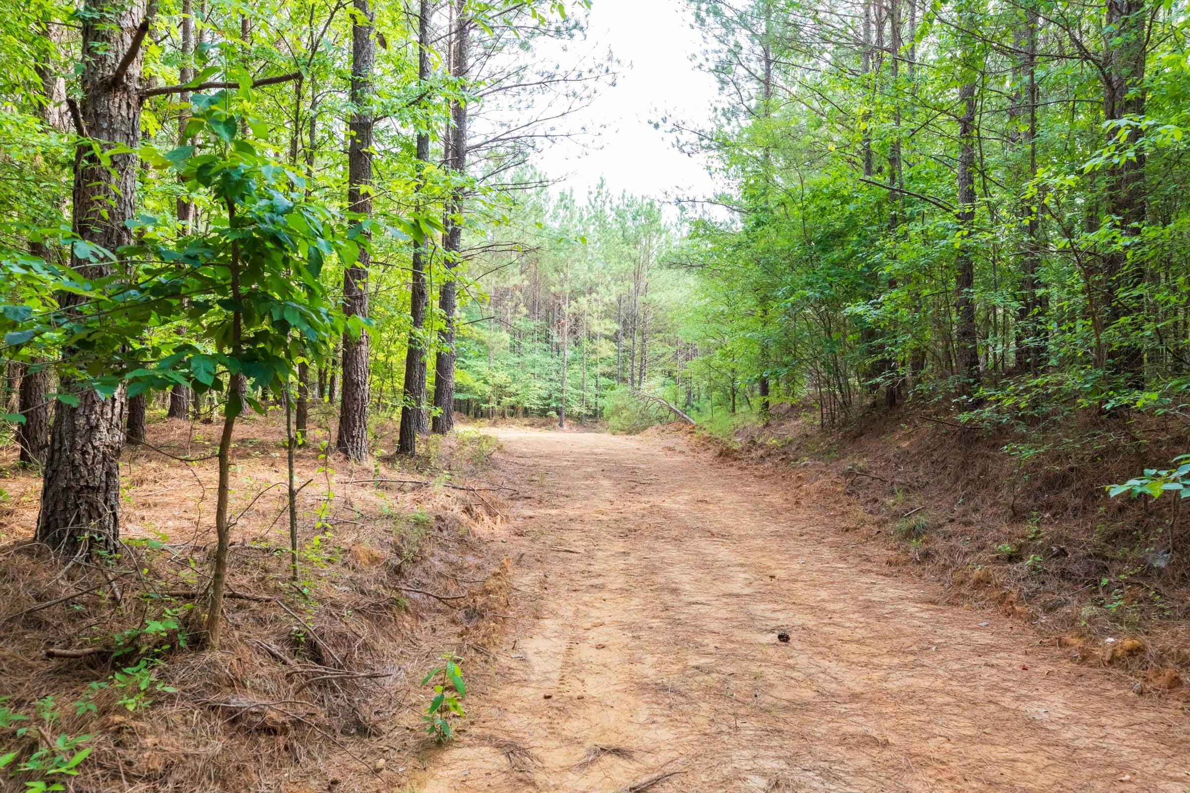 Whiskey Ridge Tract 22 photo 1
