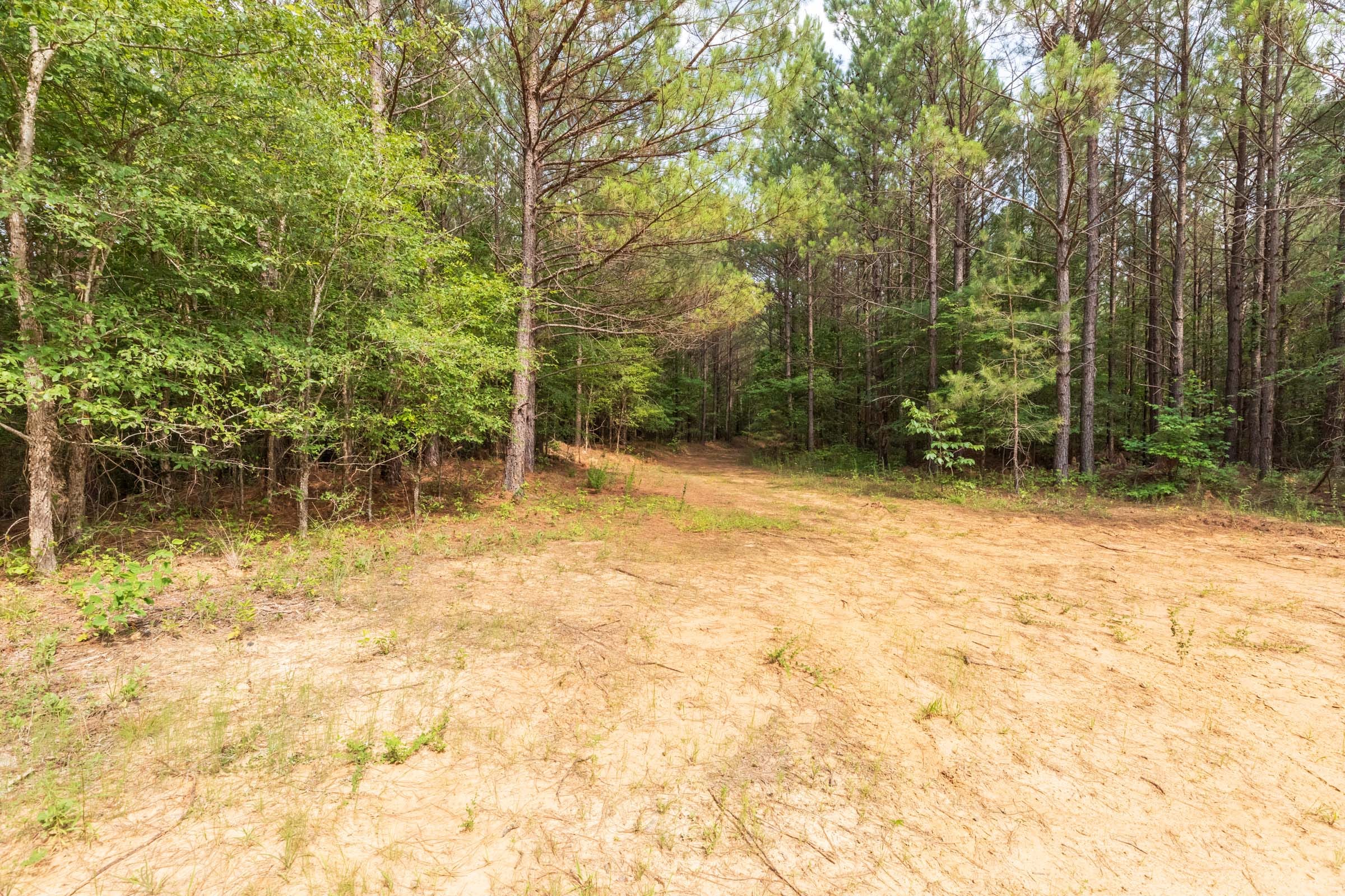Whiskey Ridge Tract 22 photo 5