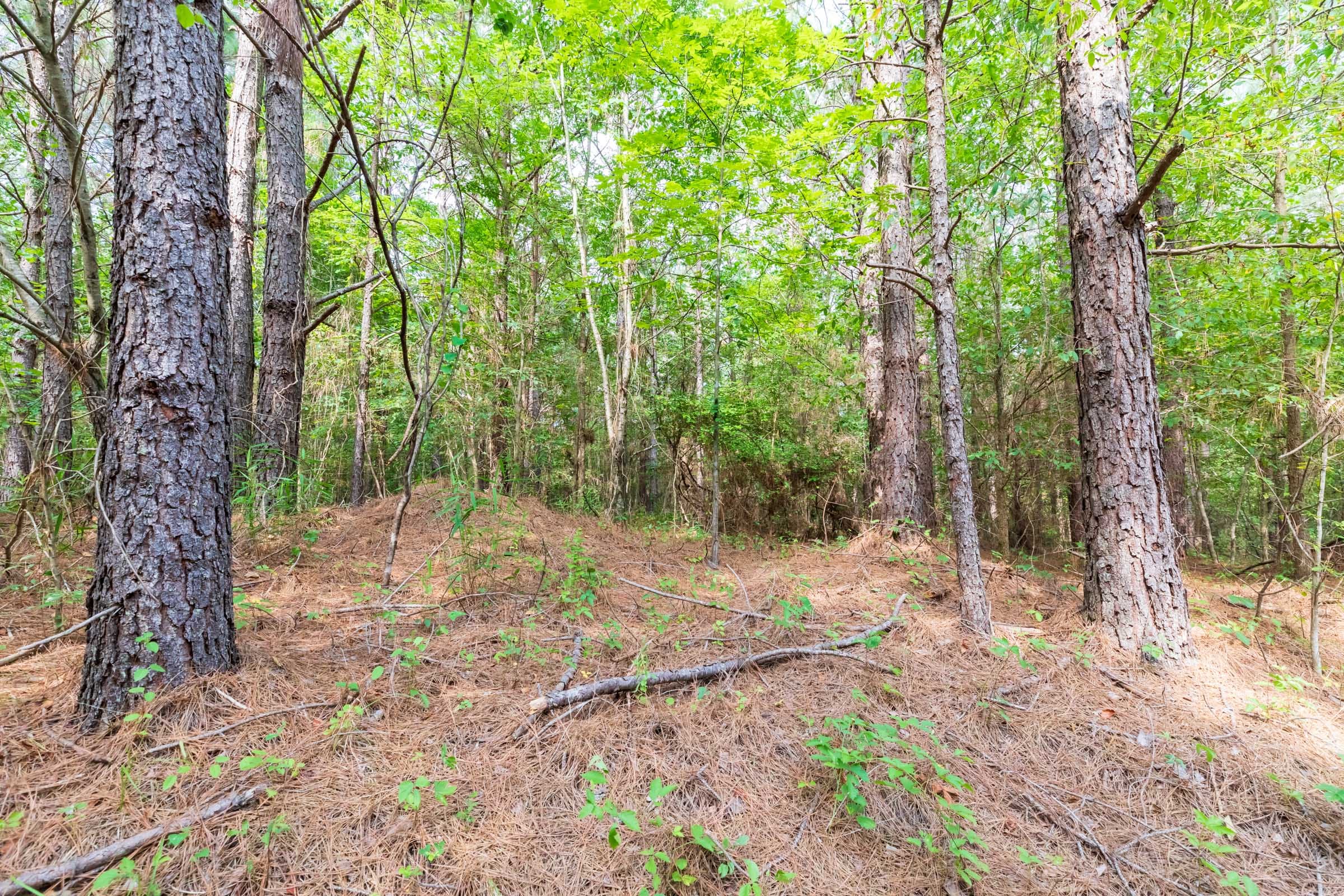 Whiskey Ridge Tract 22 photo 9
