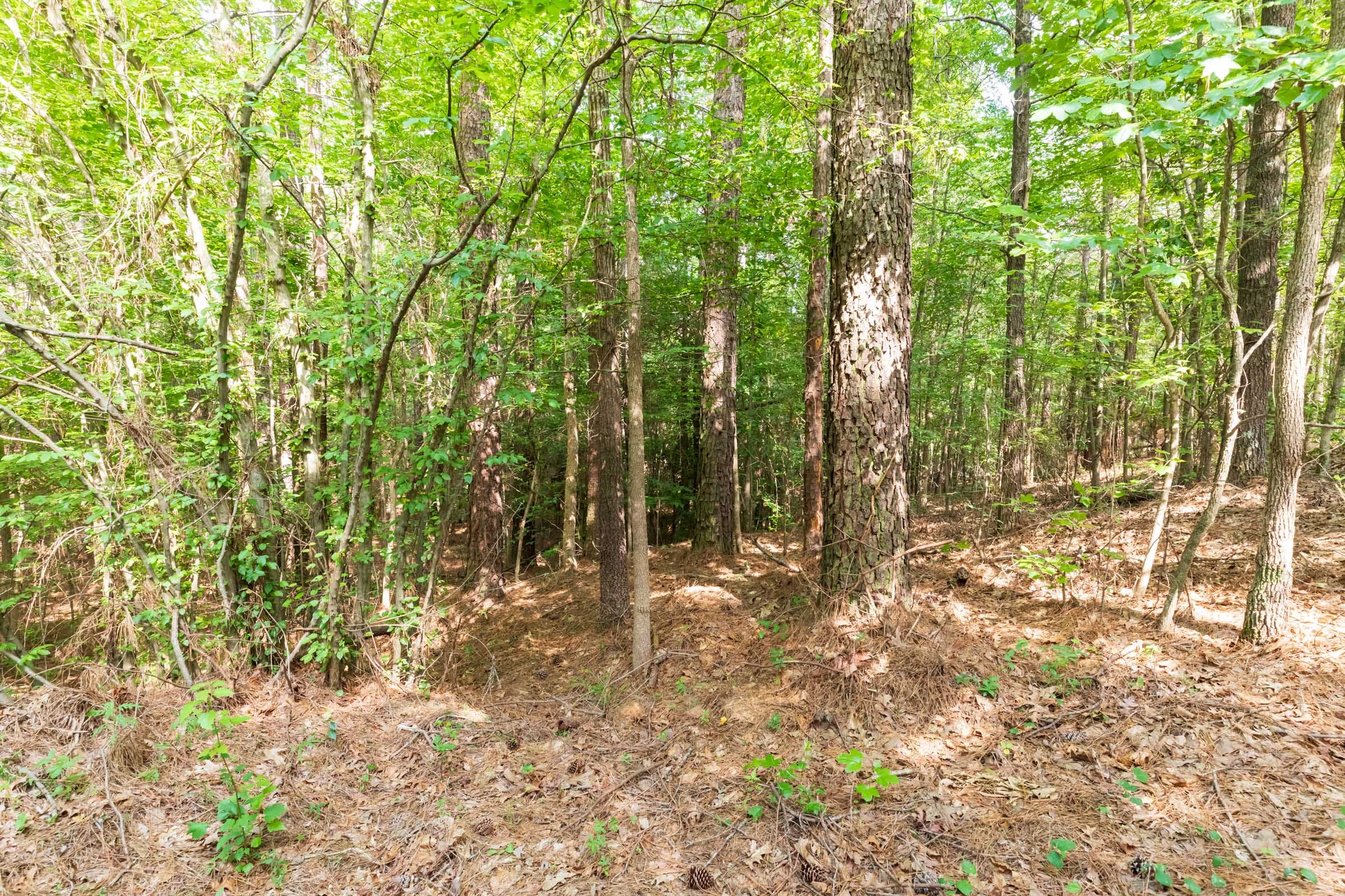 Whiskey Ridge Tract 22 photo 14