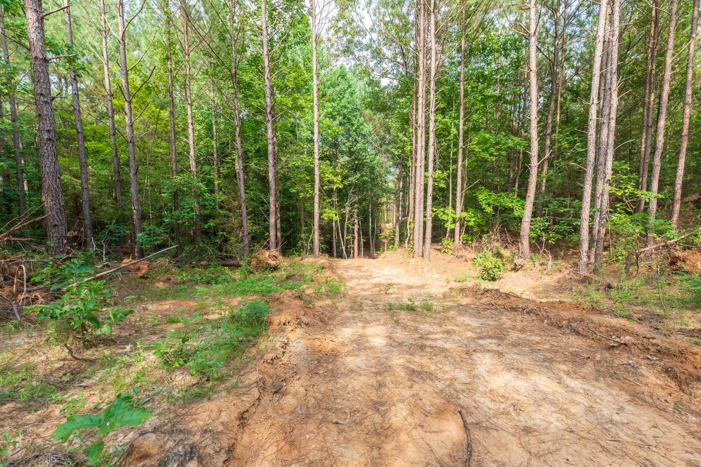 Whiskey Ridge Tract 22 photo 15