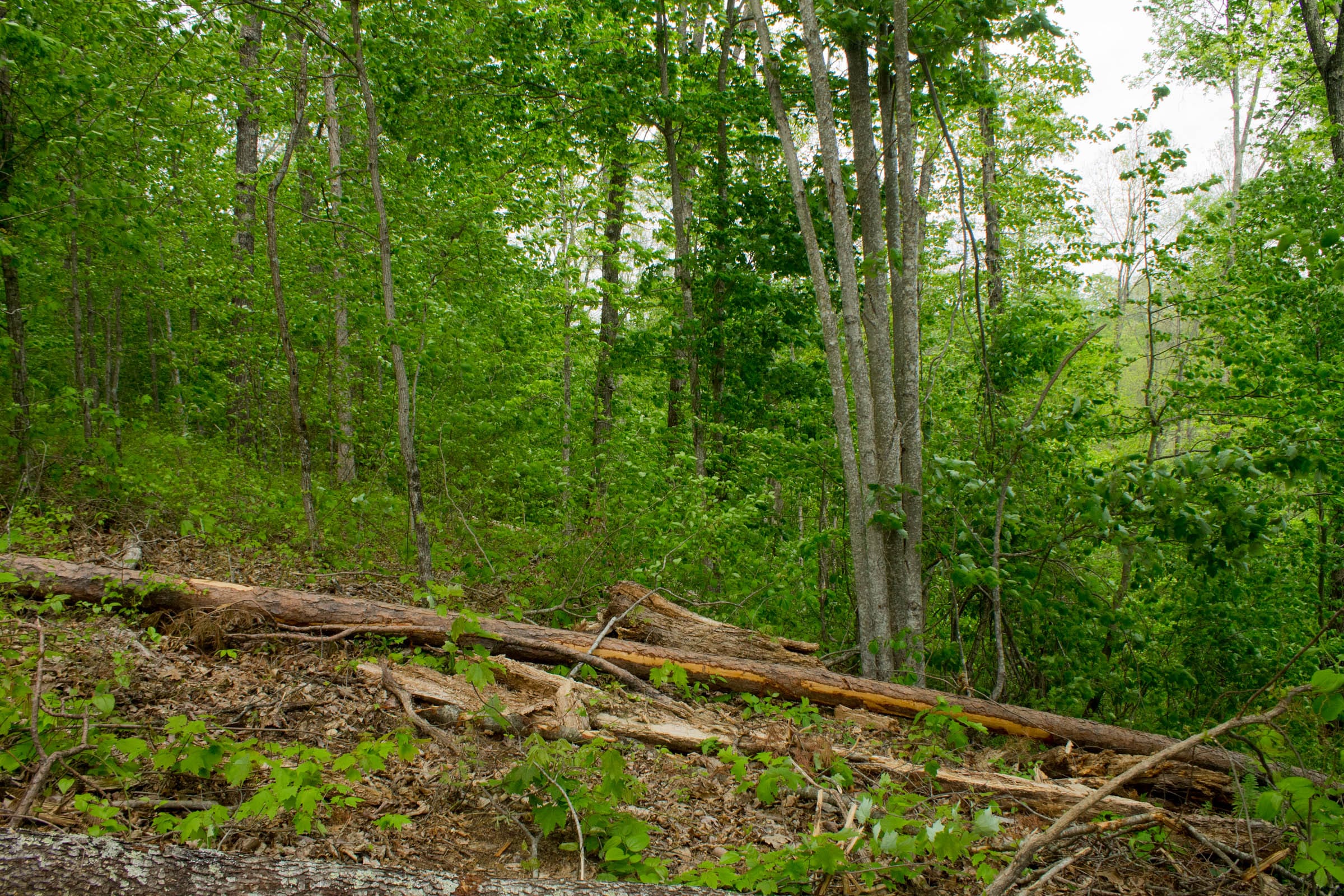 Trails End Tract 8 photo 2