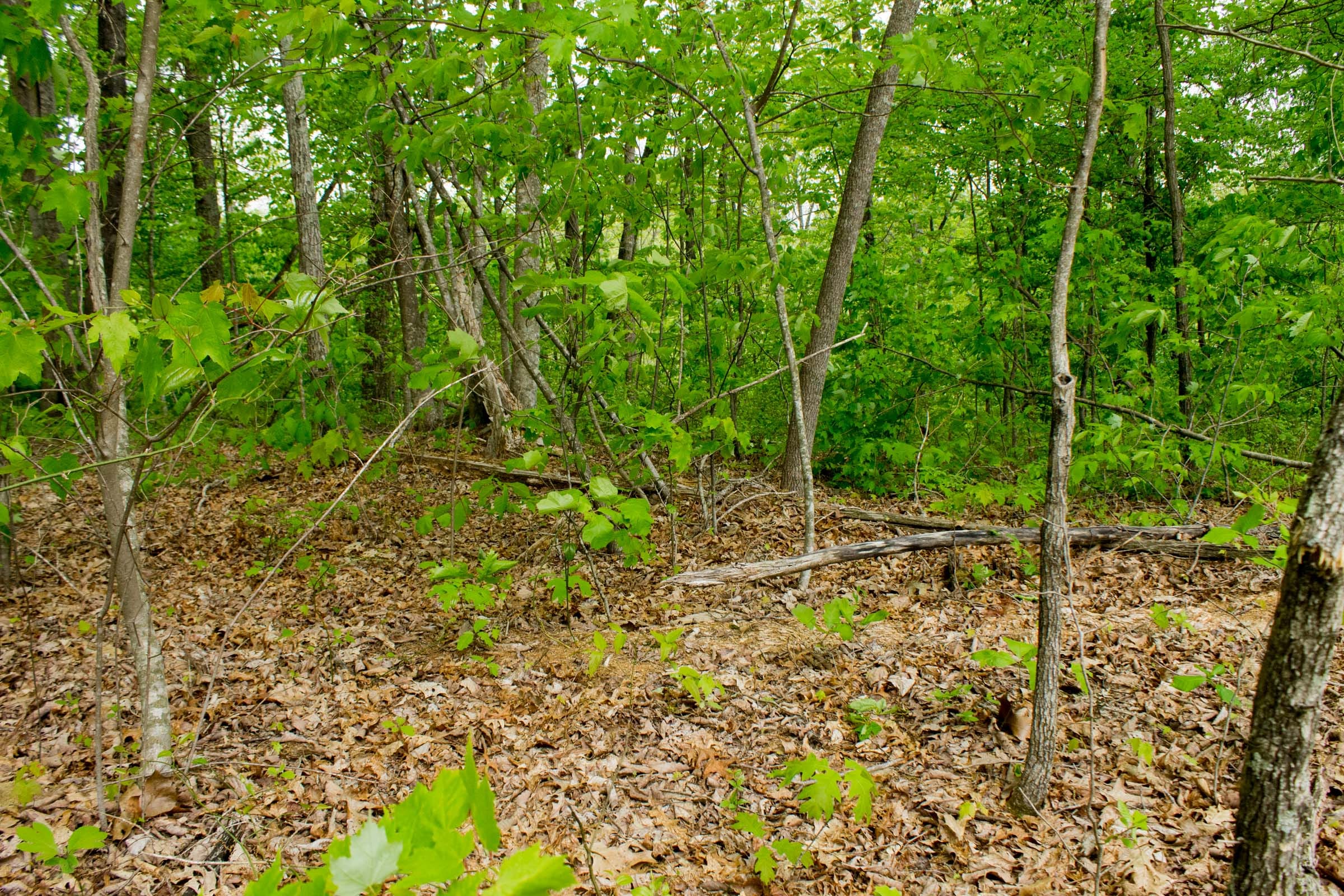 Trails End Tract 8 photo 6