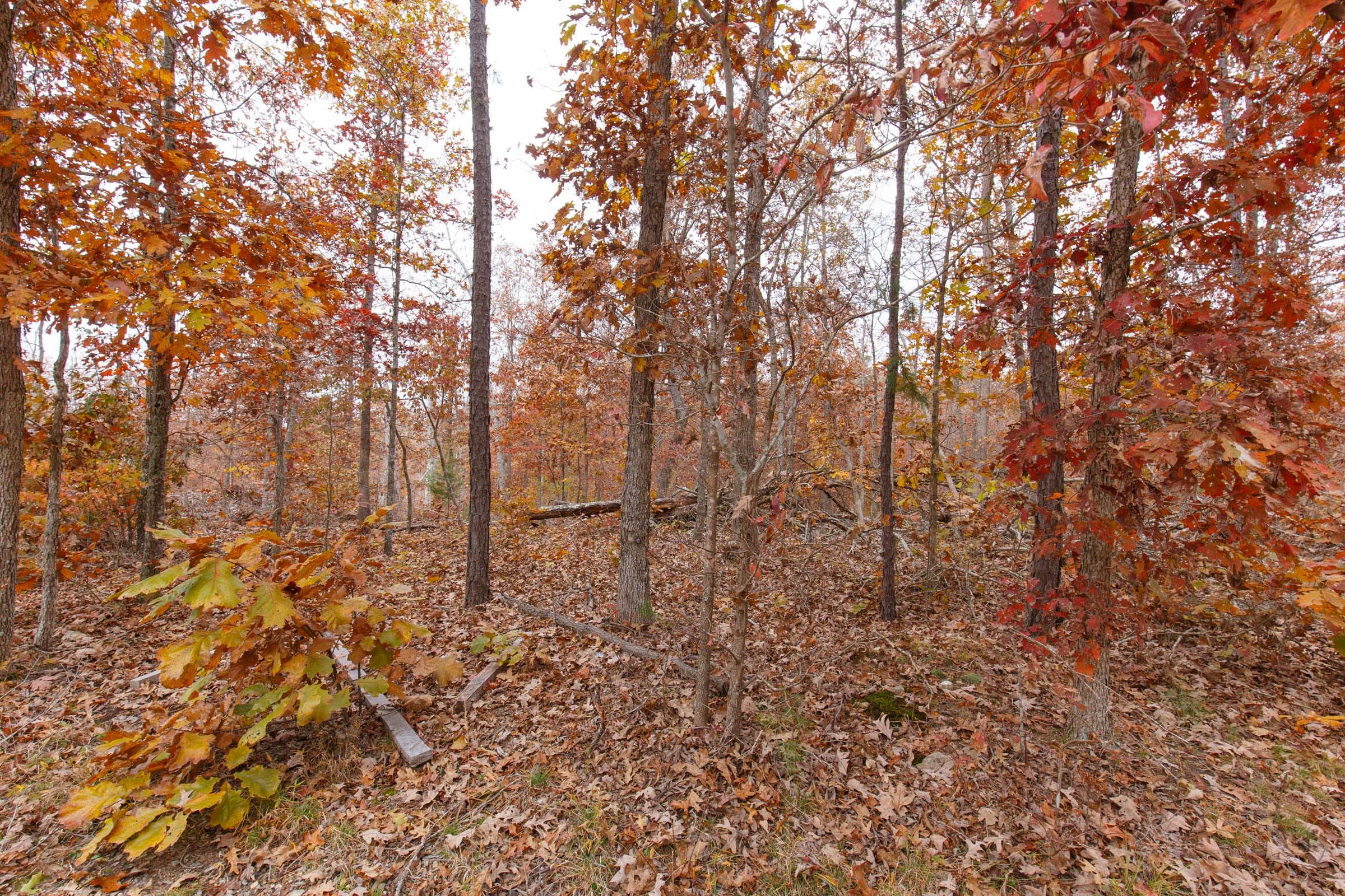 Hawkcrest Tract 20 photo 5