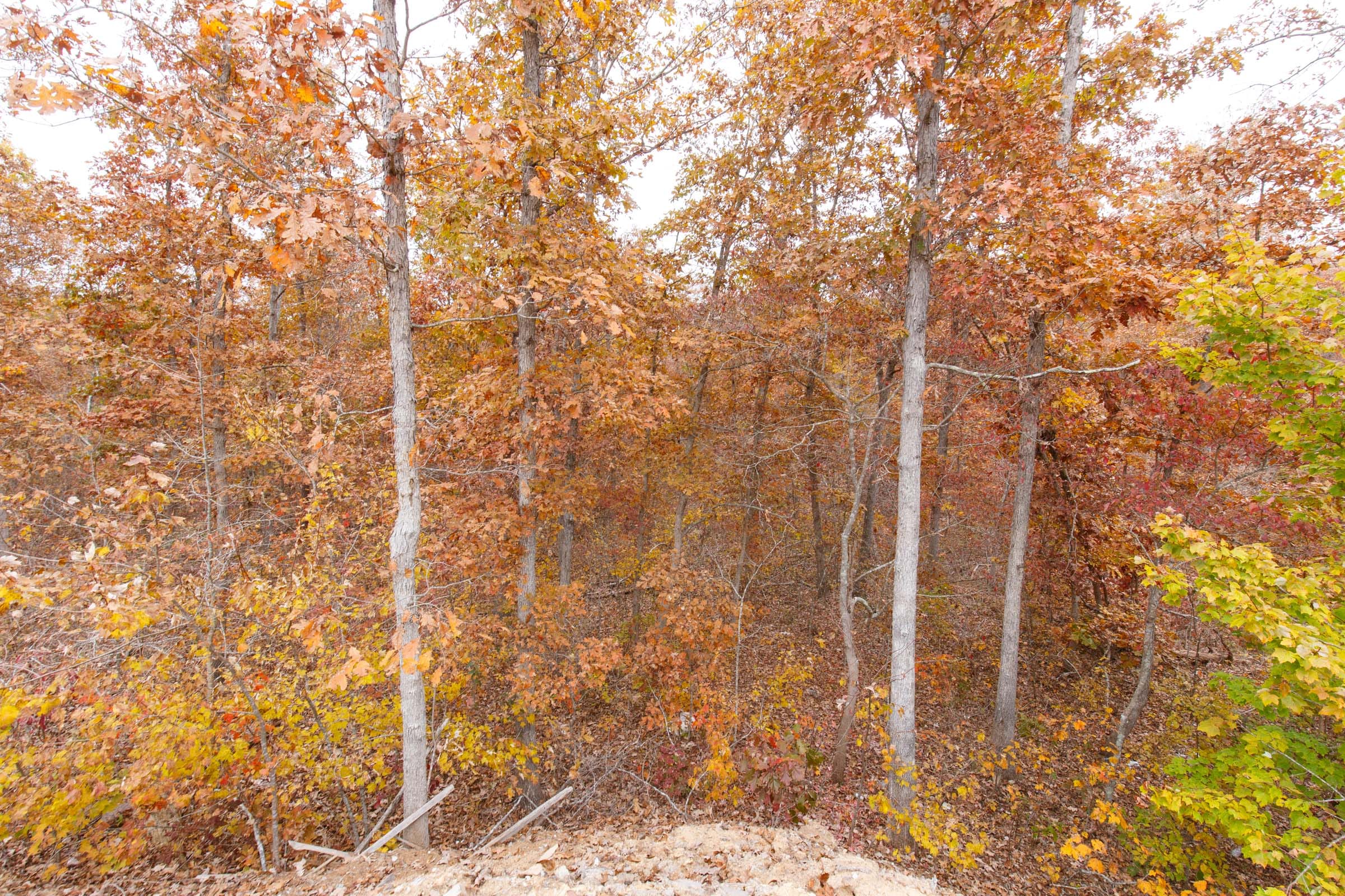 Hawkcrest Tract 20 photo 7