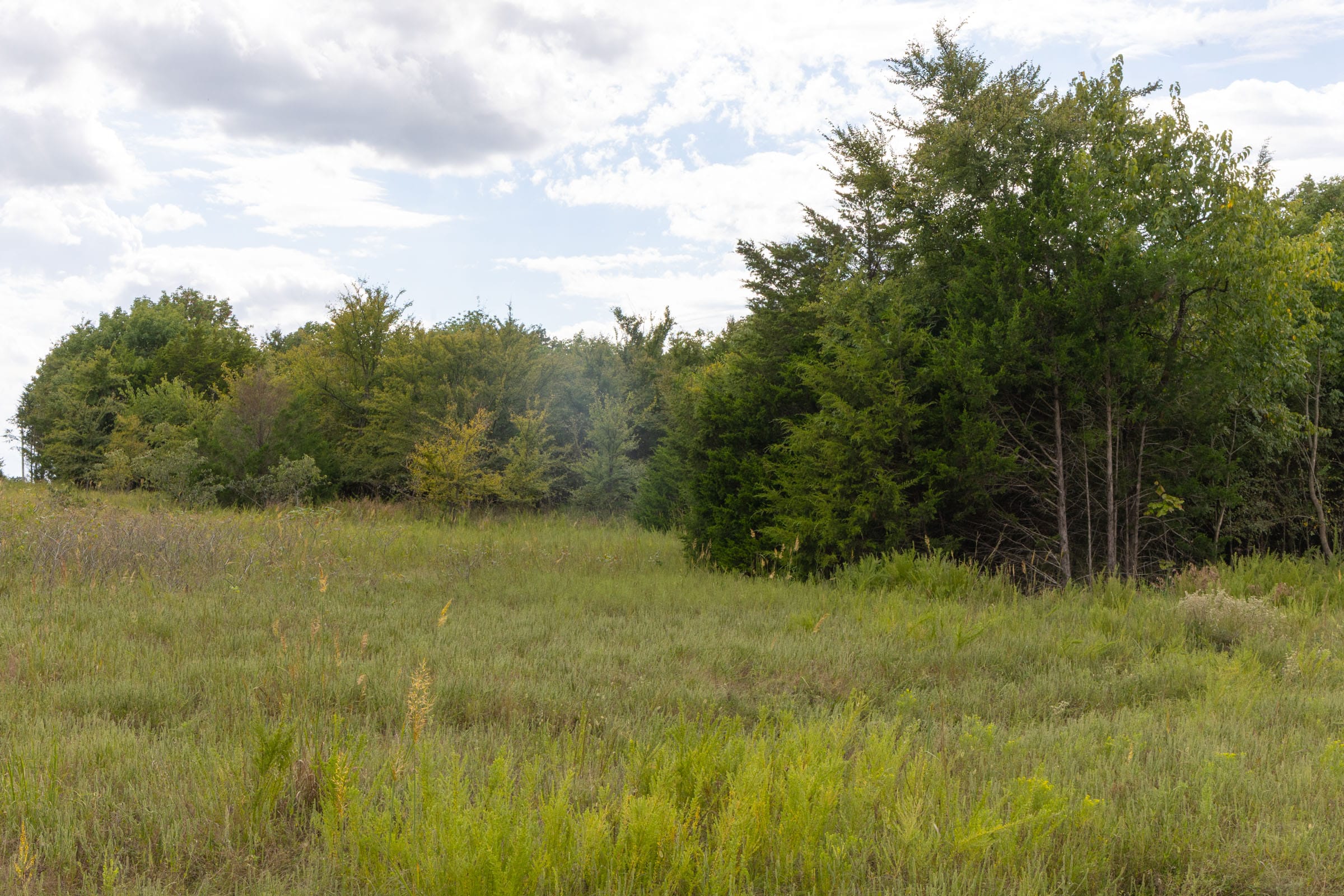 Reserves At Cattail Cove Phase II Tract 61 photo 4