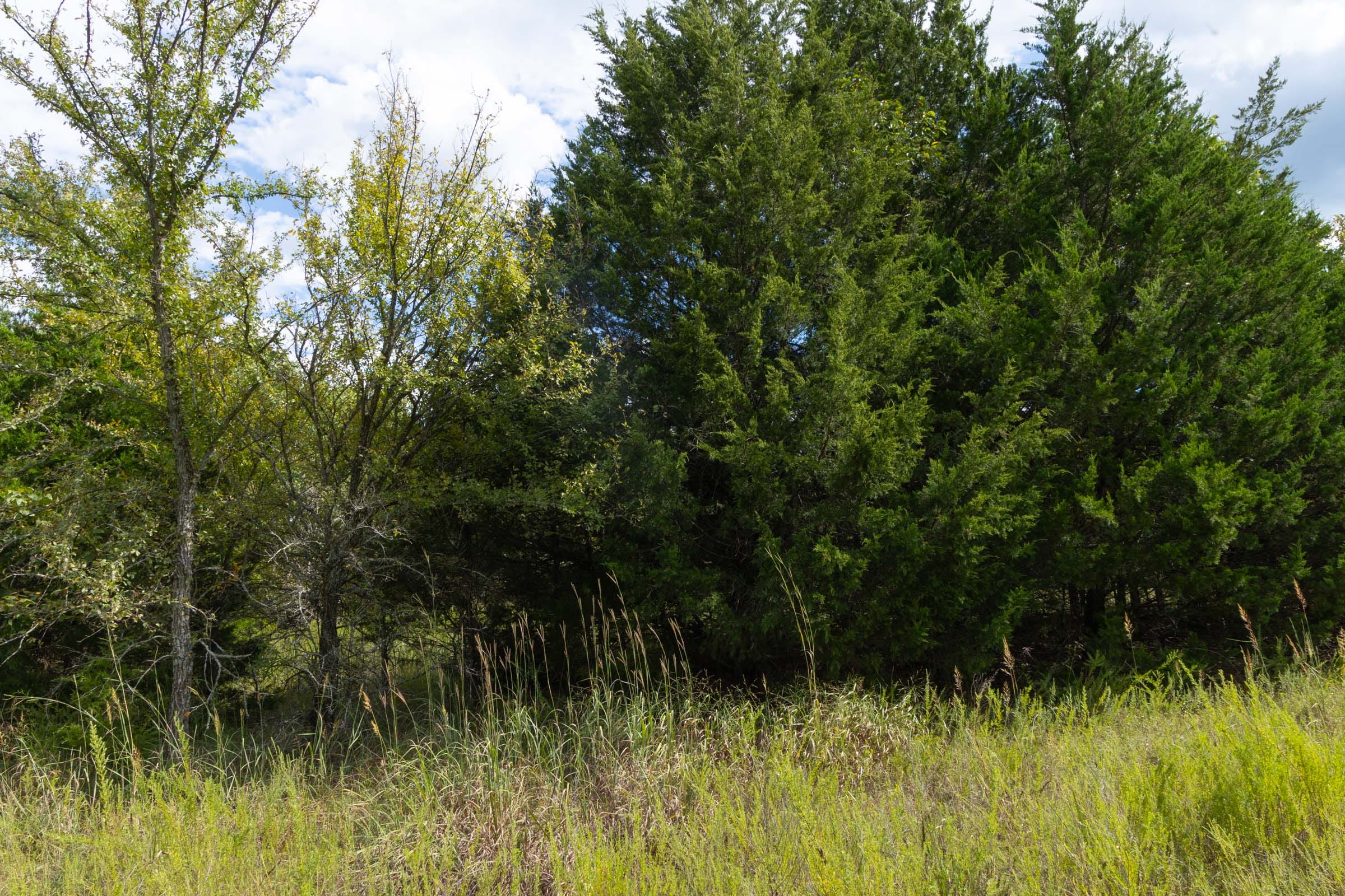 Reserves At Cattail Cove Phase II Tract 61 photo 9