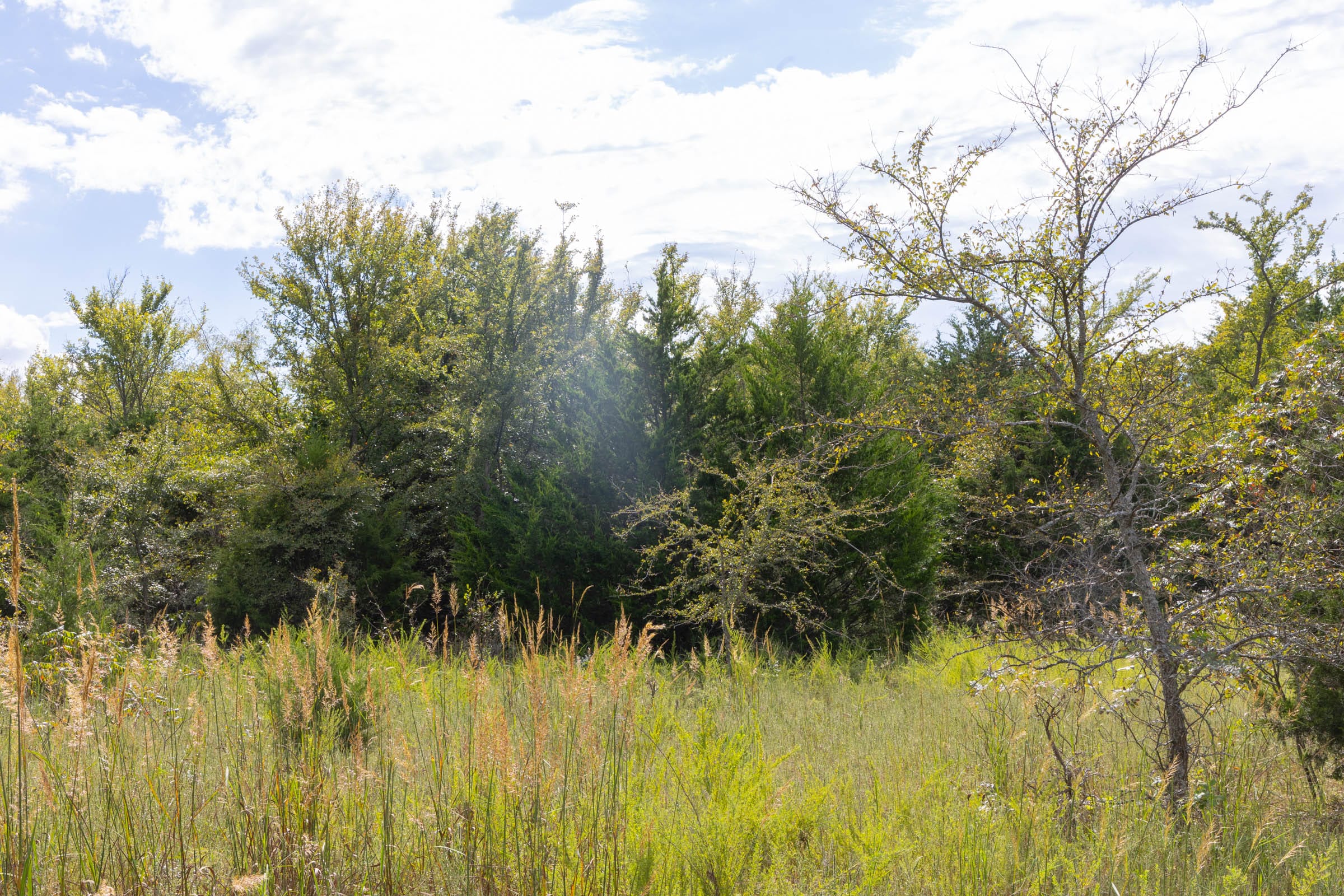 Reserves At Cattail Cove Phase II Tract 61 photo 8