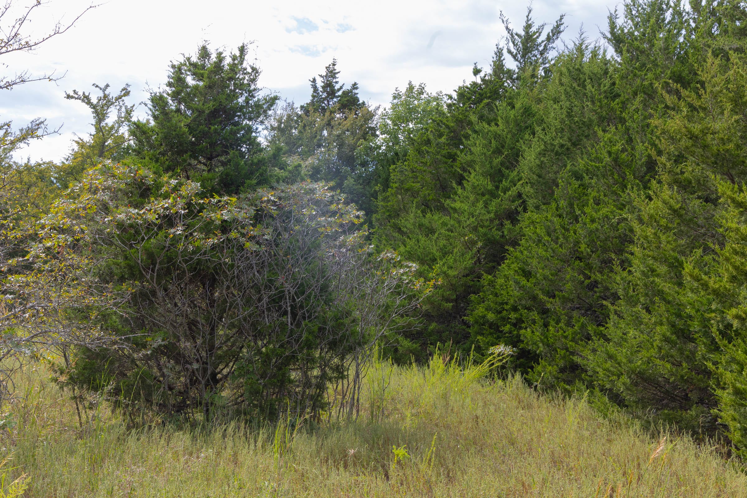 Reserves At Cattail Cove Phase II Tract 61 photo 5
