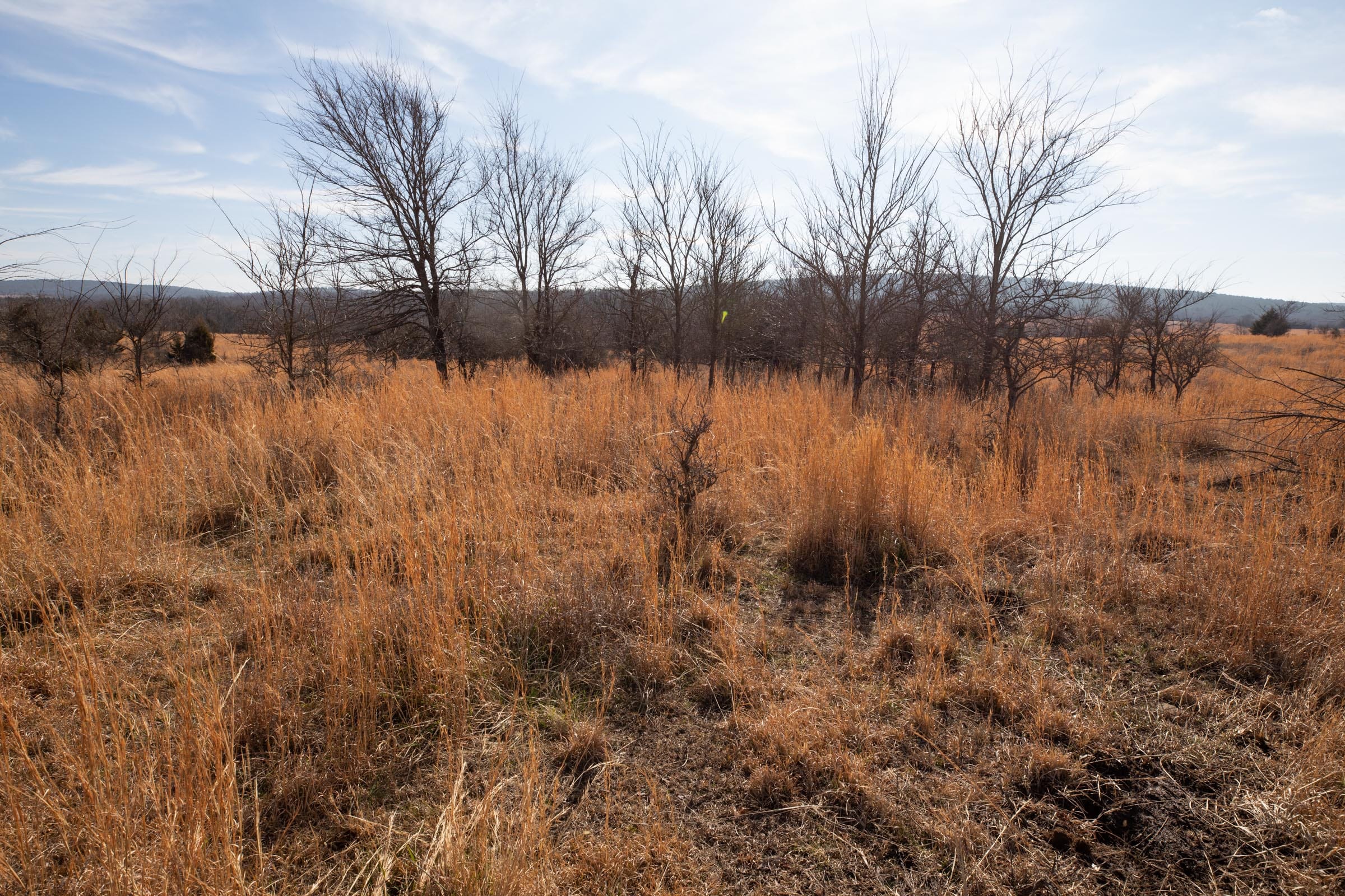 Painted Horse Tract 30 photo 3
