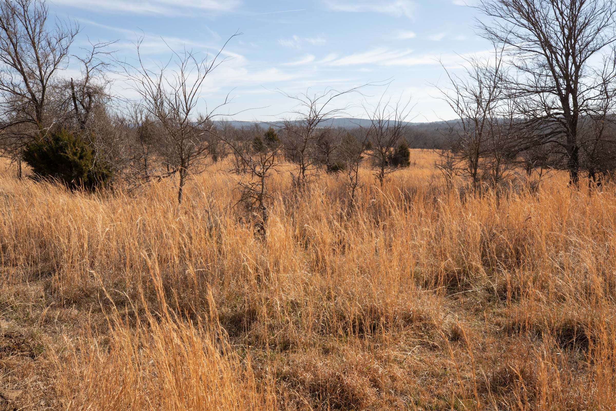 Painted Horse Tract 30 photo 6
