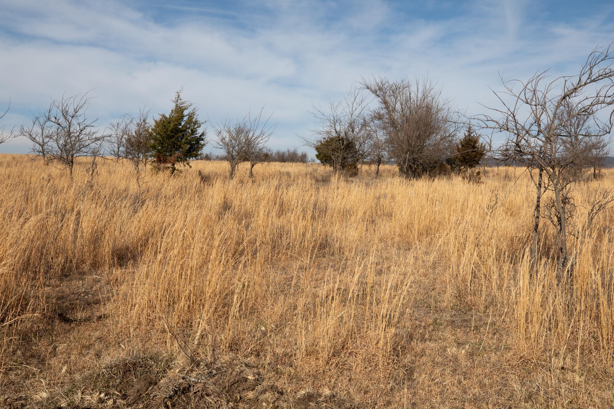 Painted Horse Tract 30 photo 4