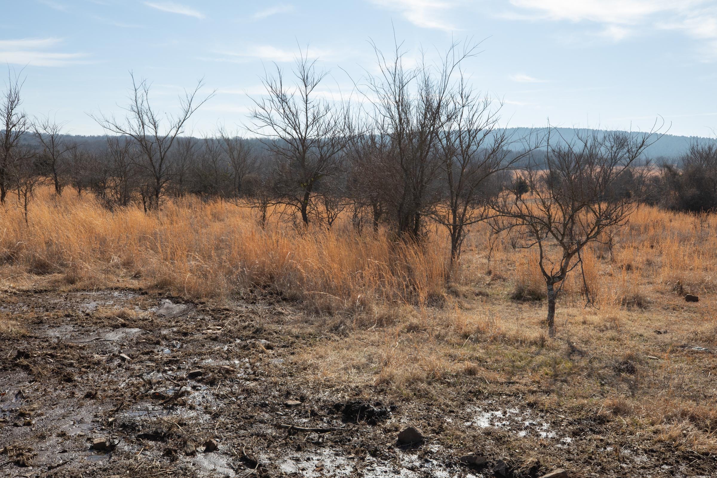 Painted Horse Tract 30 photo 2