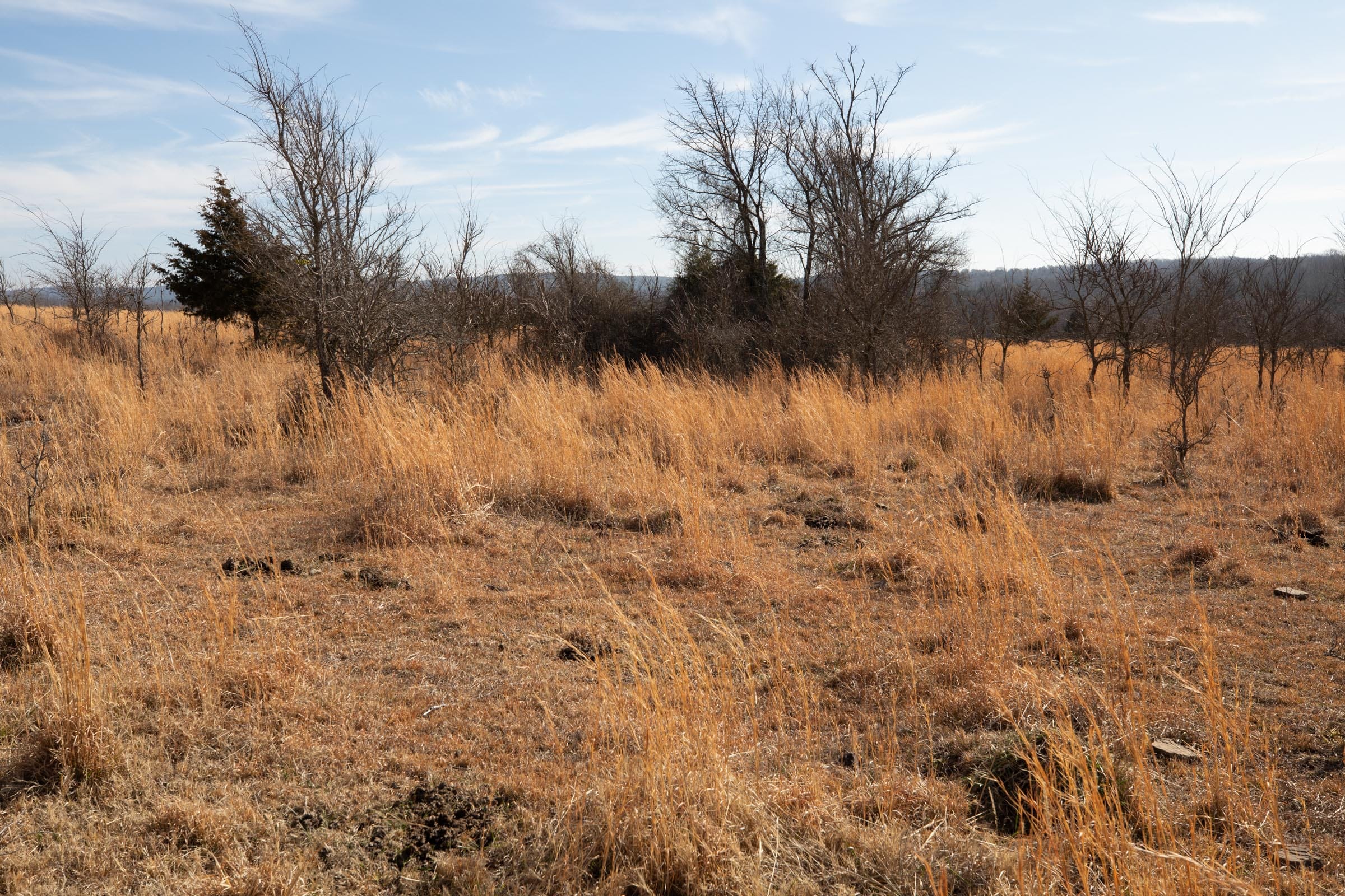 Painted Horse Tract 30 photo 9