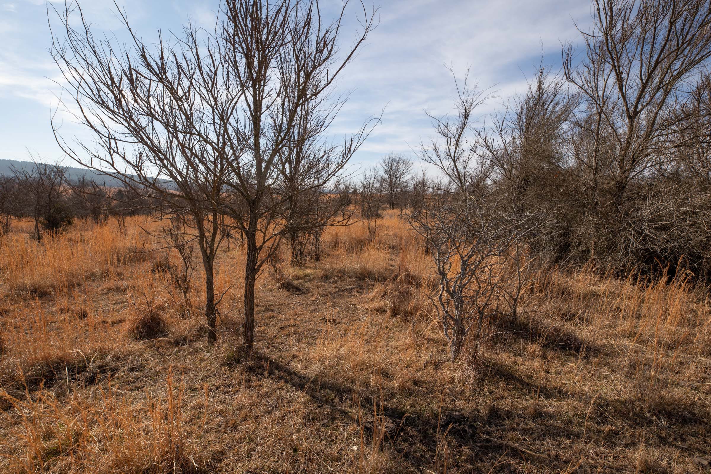 Painted Horse Tract 30 photo 10