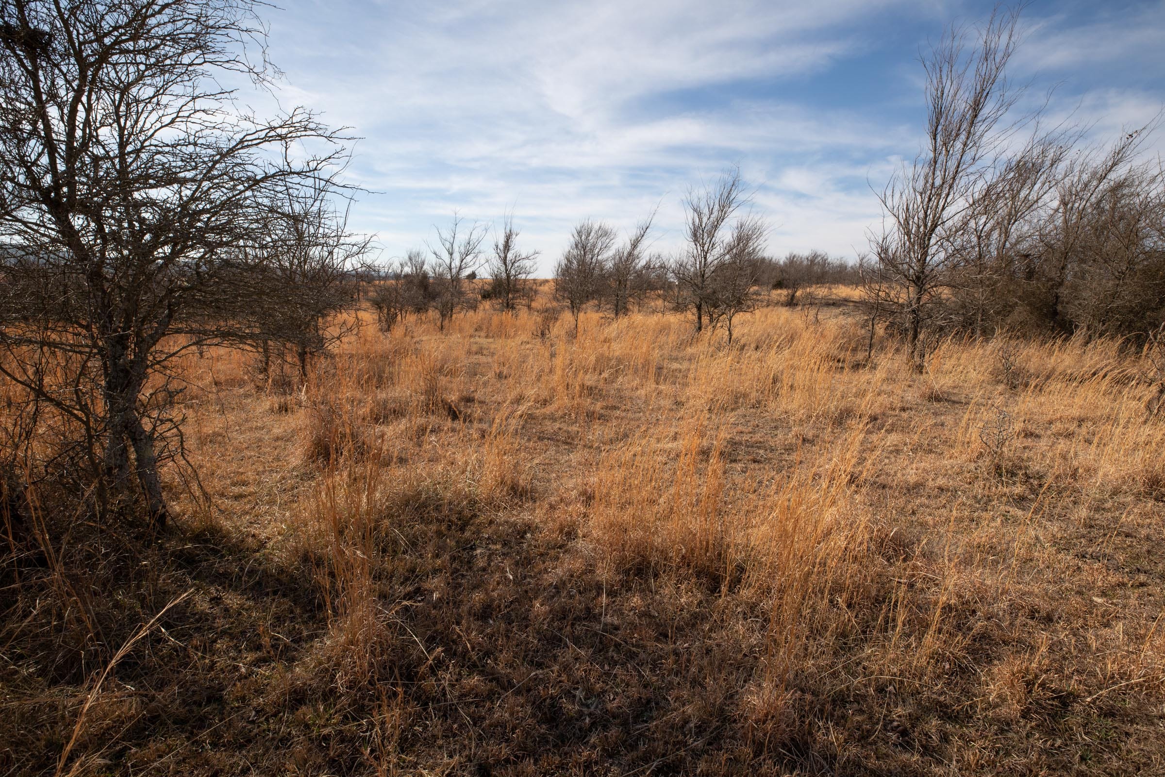 Painted Horse Tract 30 photo 8