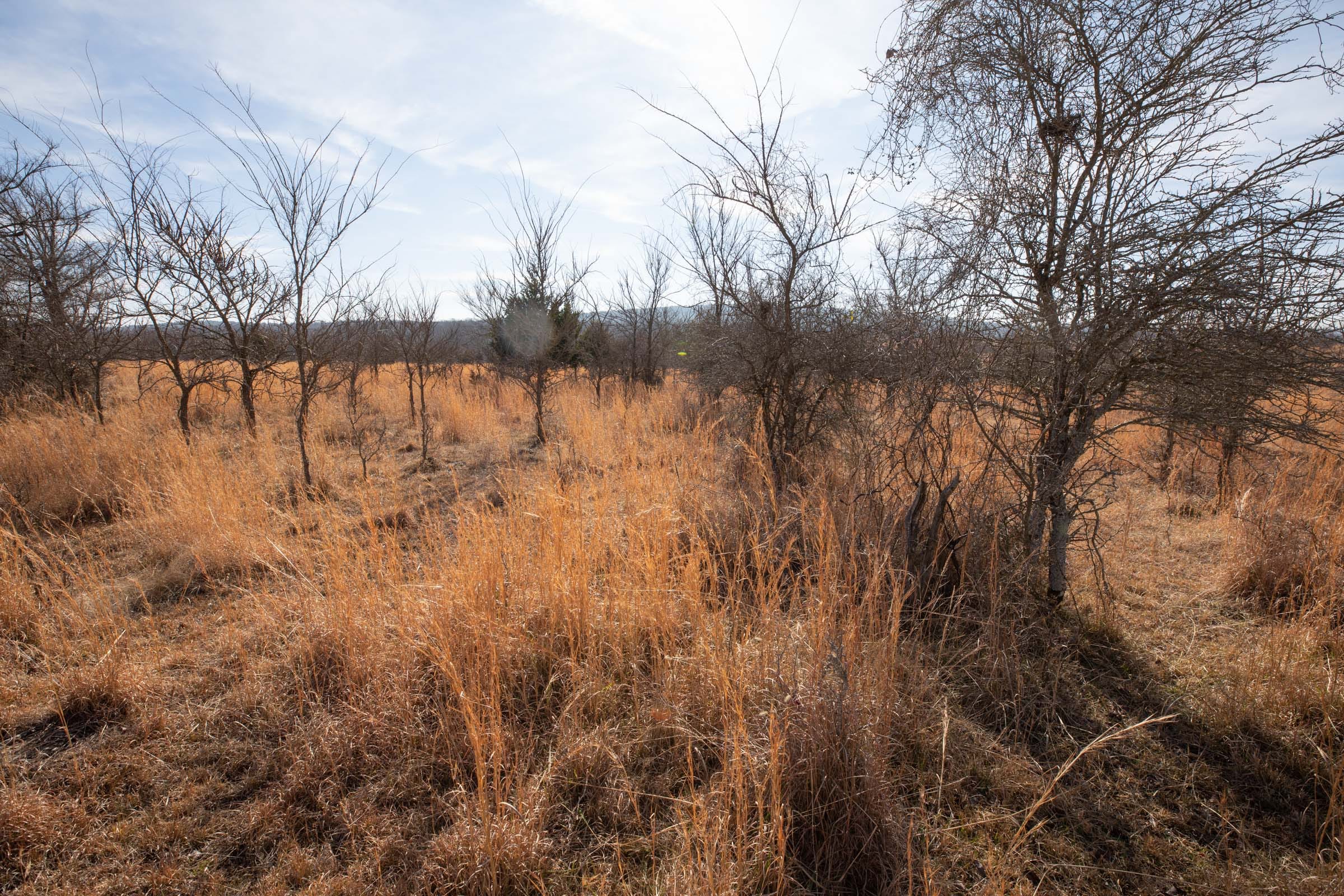 Painted Horse Tract 30 photo 12