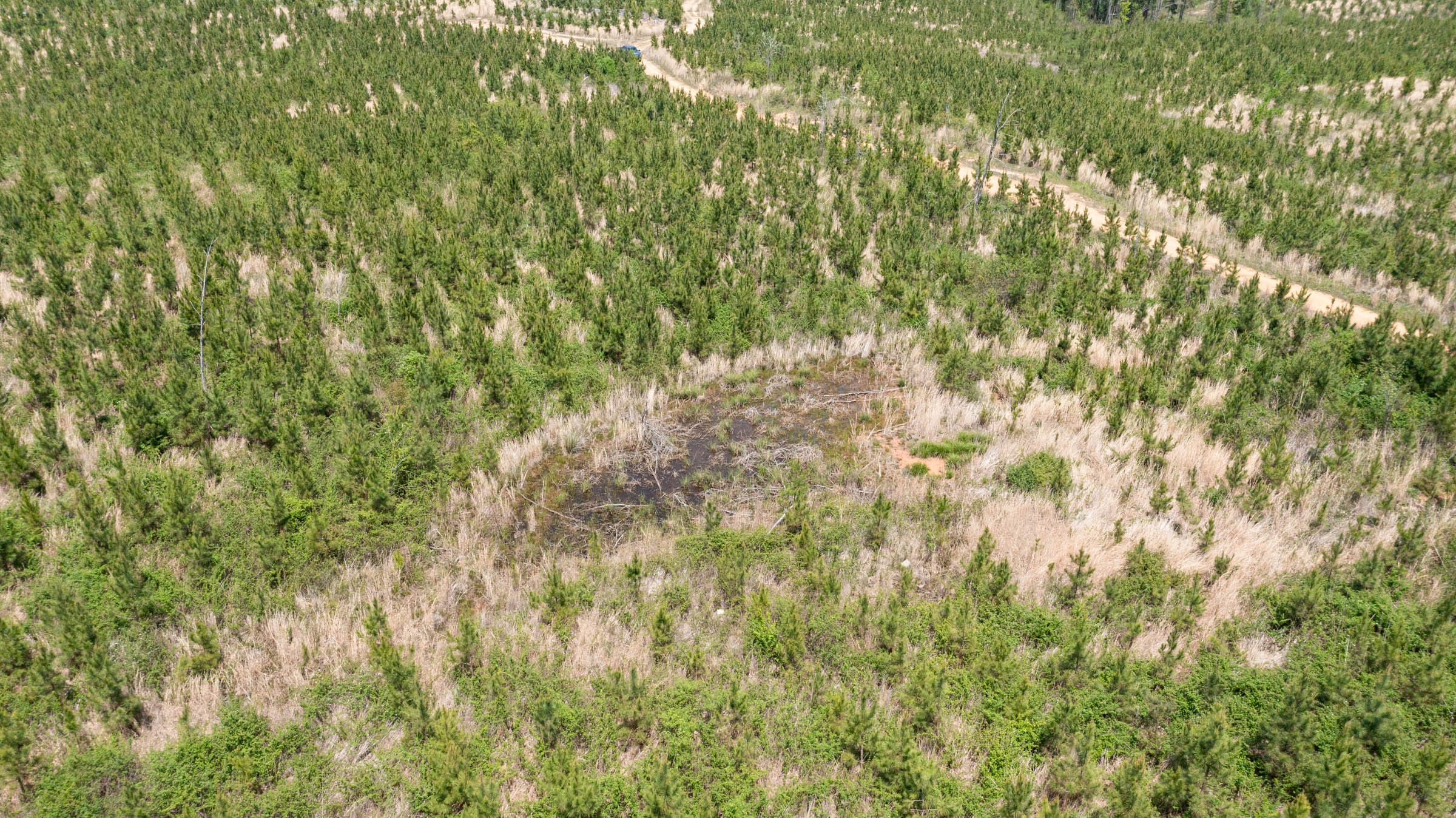 Clear Wood Tract 42 photo 4