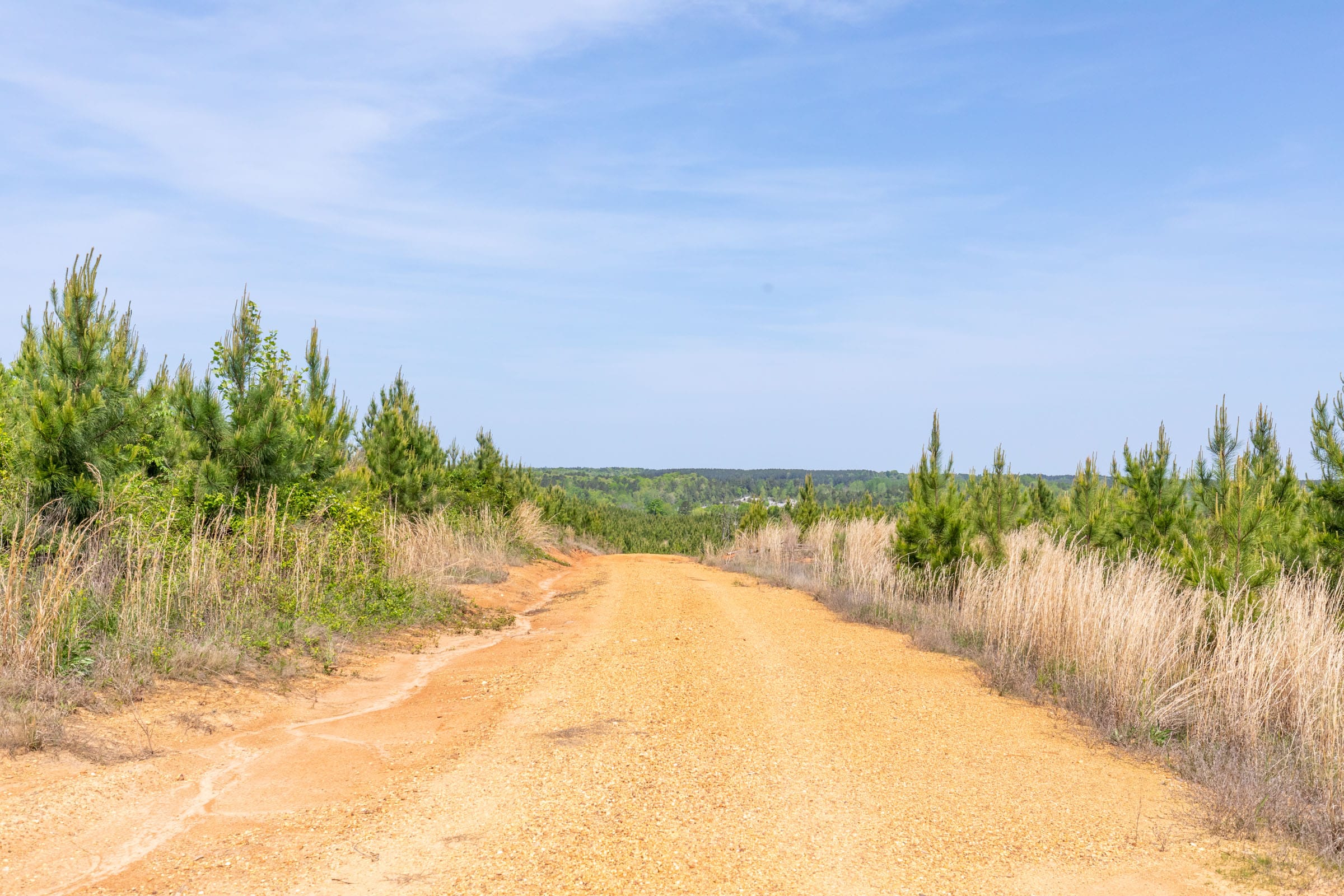 Clear Wood Tract 42 photo 1