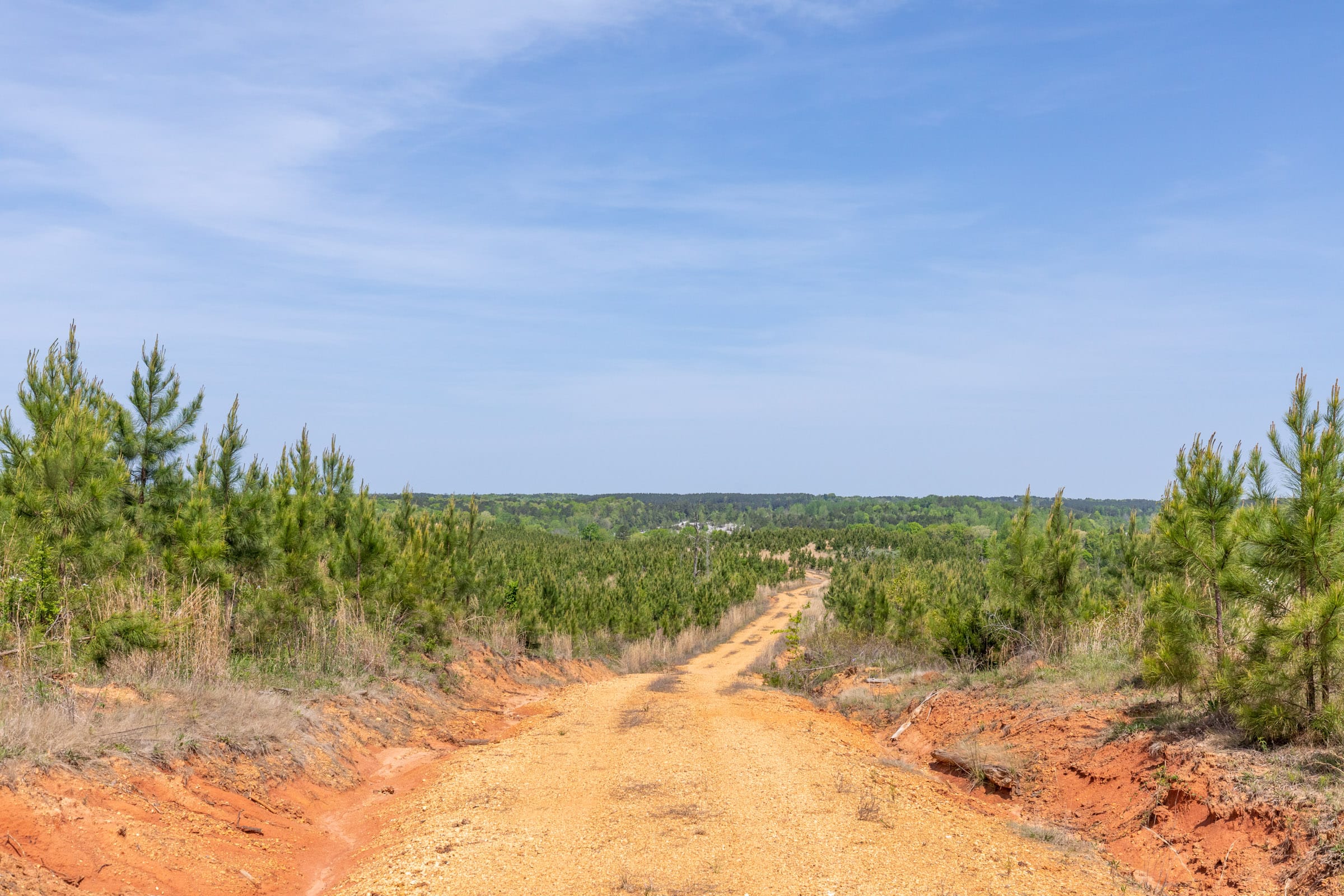Clear Wood Tract 42 photo 5