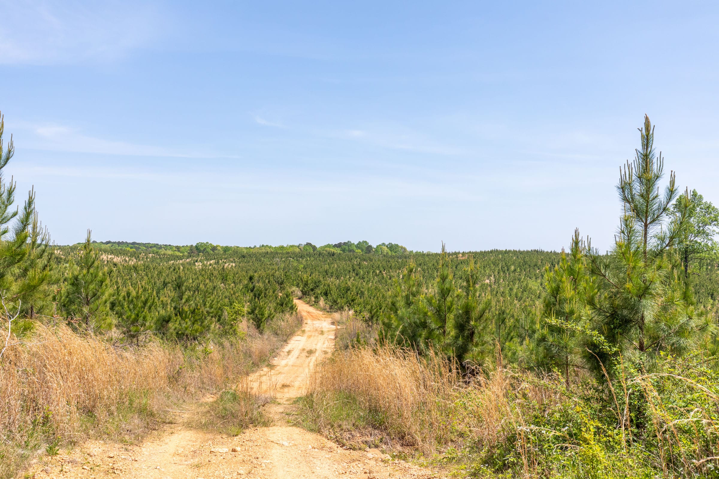 Clear Wood Tract 42 photo 18