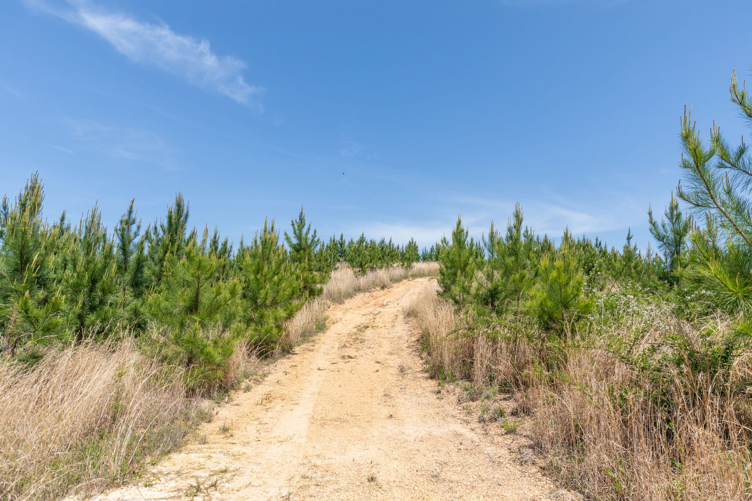 Clear Wood Tract 42 photo 15