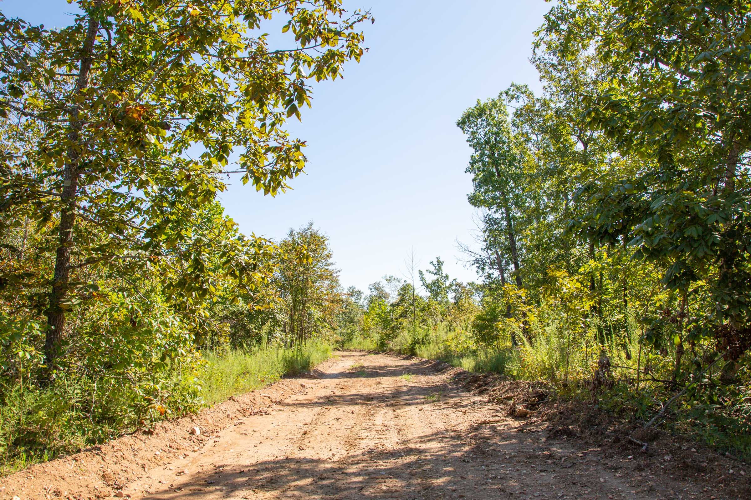 Borgmann’s Hollow Phase II Tract 64 photo 3