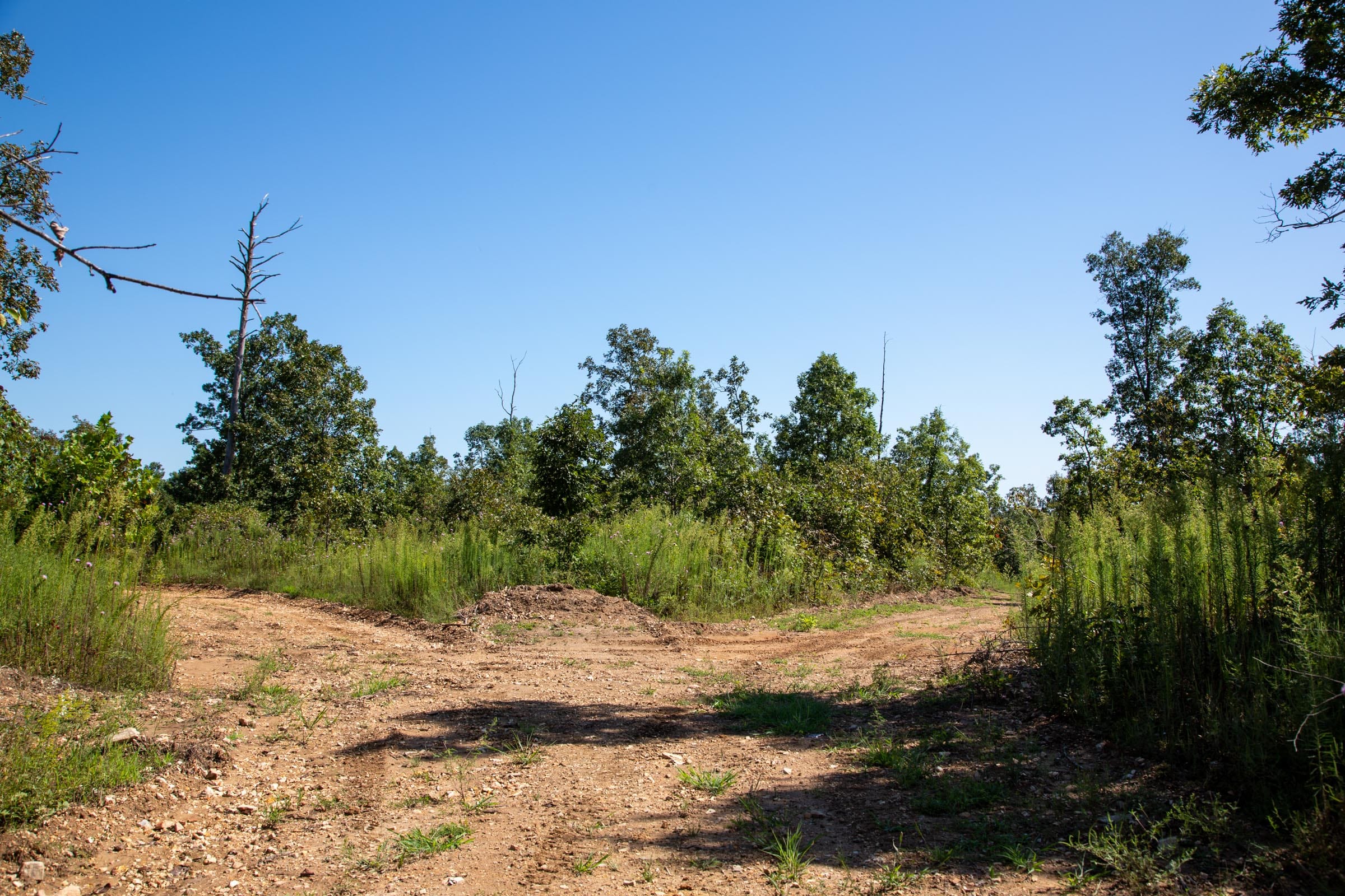 Borgmann’s Hollow Phase II Tract 64 photo 7