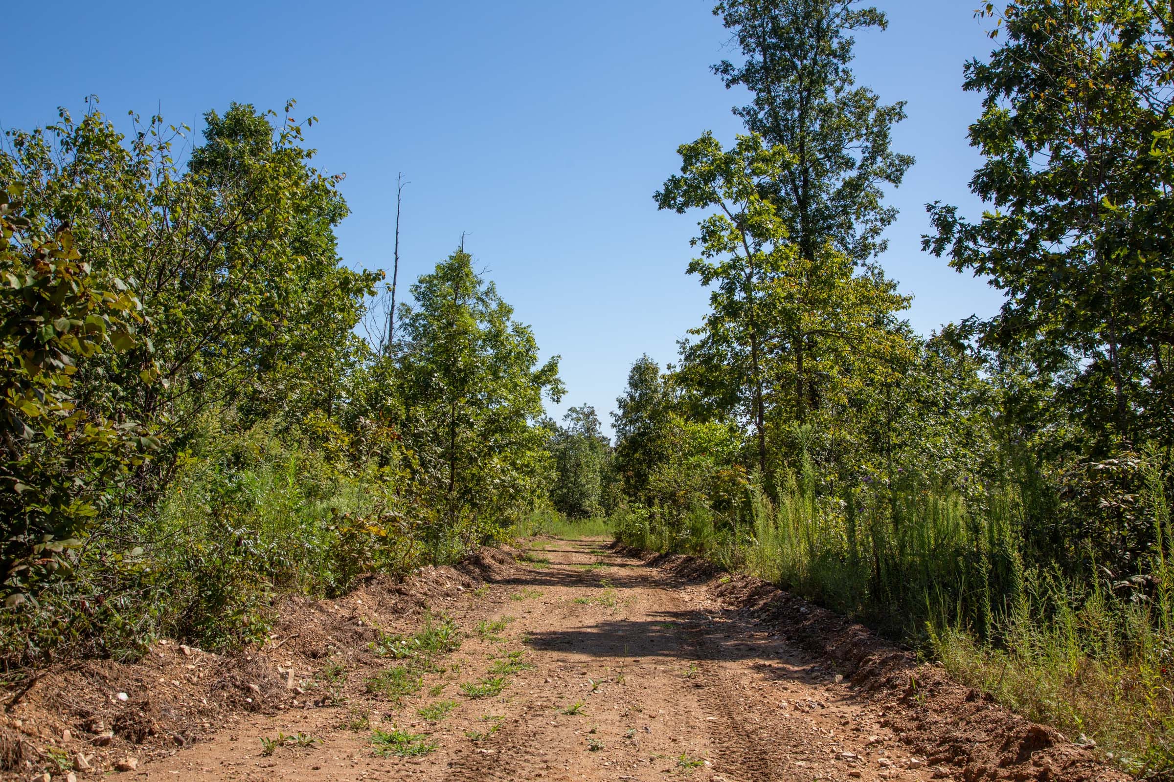 Borgmann’s Hollow Phase II Tract 64 photo 9