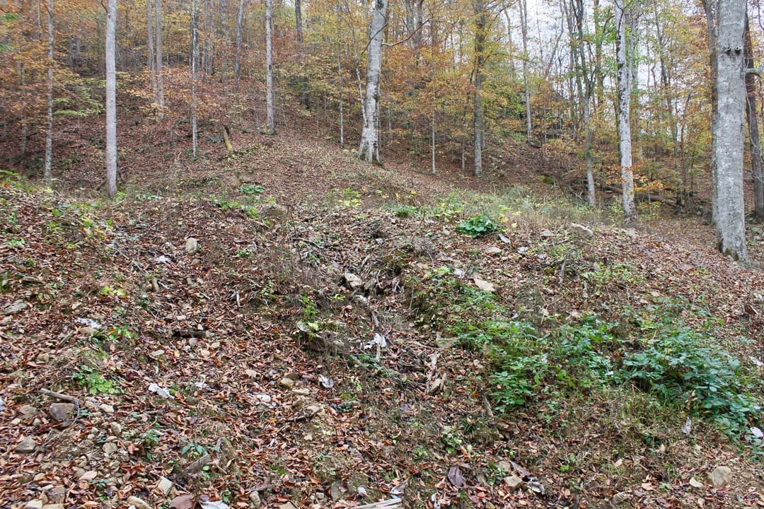 Autumn Ridge Tract 1 photo 2