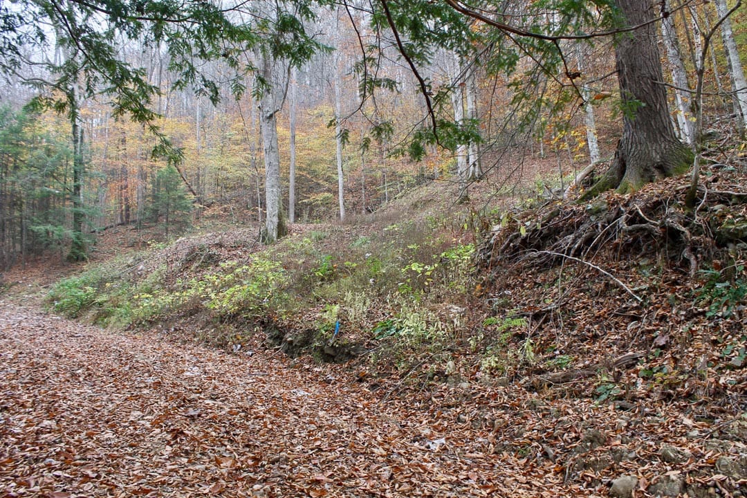 Autumn Ridge Tract 1 photo 3