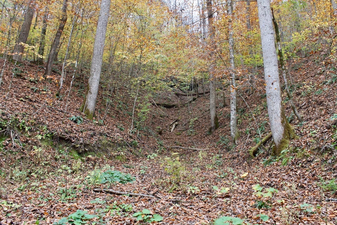 Autumn Ridge Tract 1 photo 6