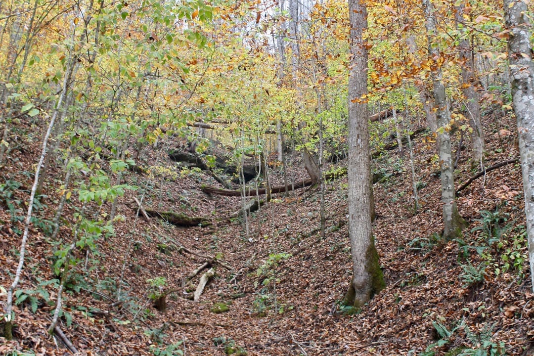 Autumn Ridge Tract 1 photo 10