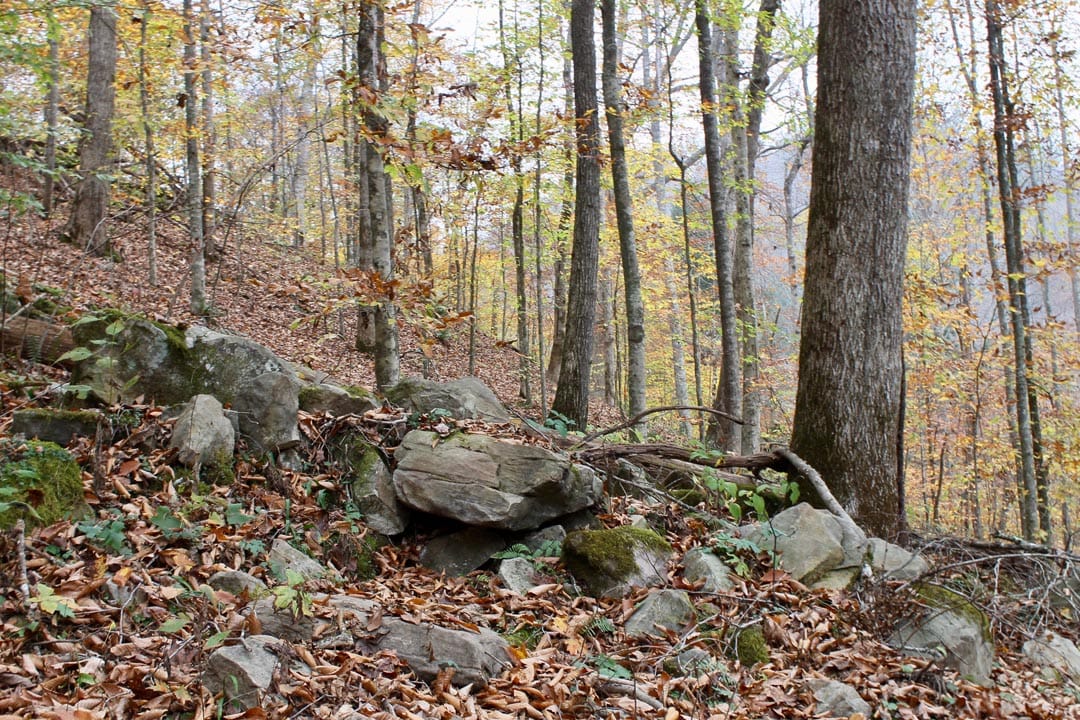 Autumn Ridge Tract 1 photo 13