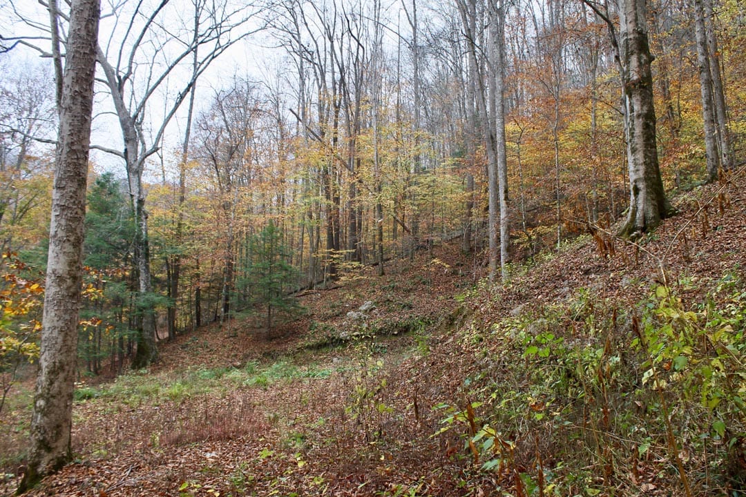 Autumn Ridge Tract 1 photo 16